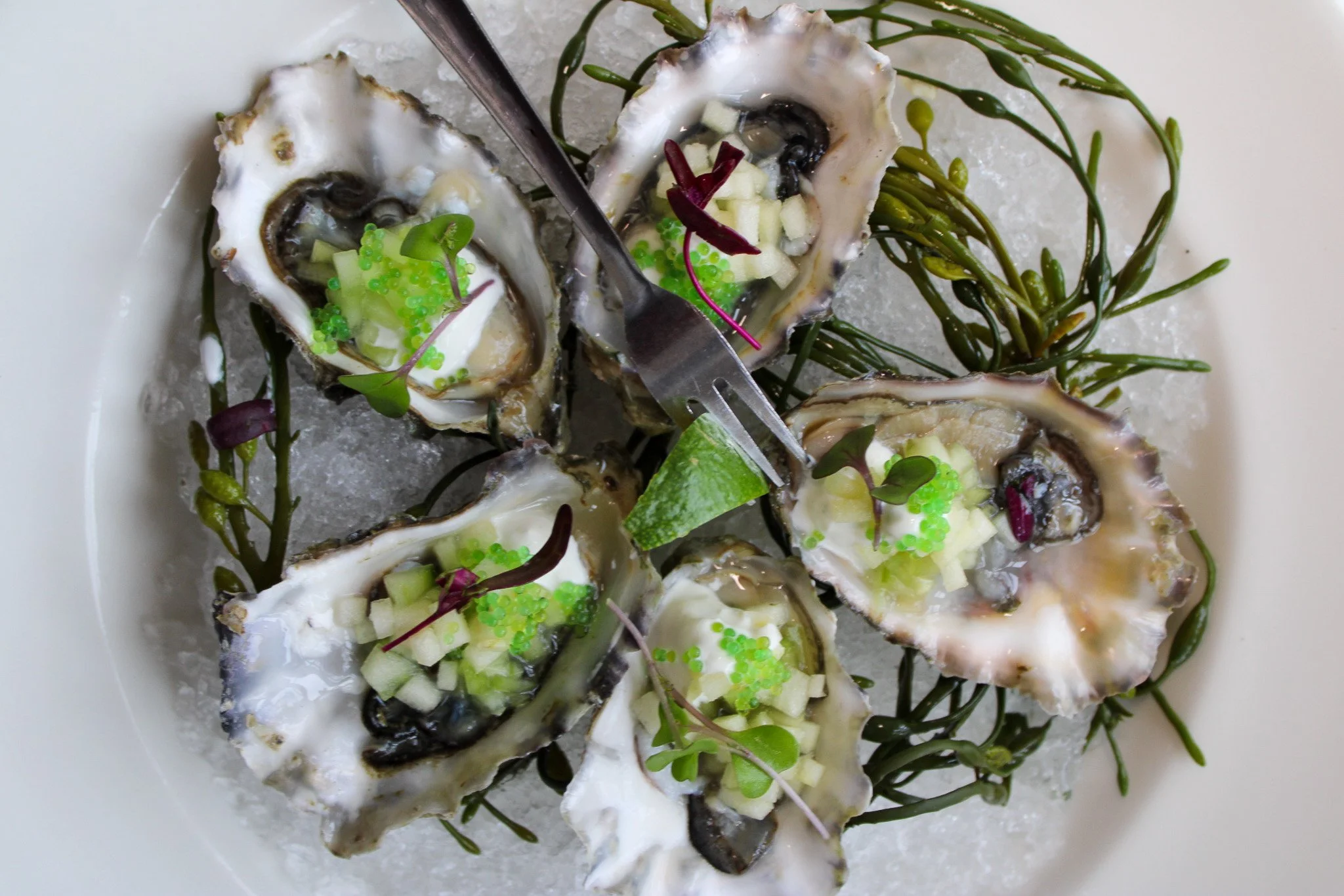 This weekend, March 13 &amp; 14, Washington Inn &amp; Wine Bar invites you to experience Tide to Table, a special three-course pre-fixe menu inspired by the rhythms and richness of the sea that surrounds us here in Cape May.

In addition to our regul