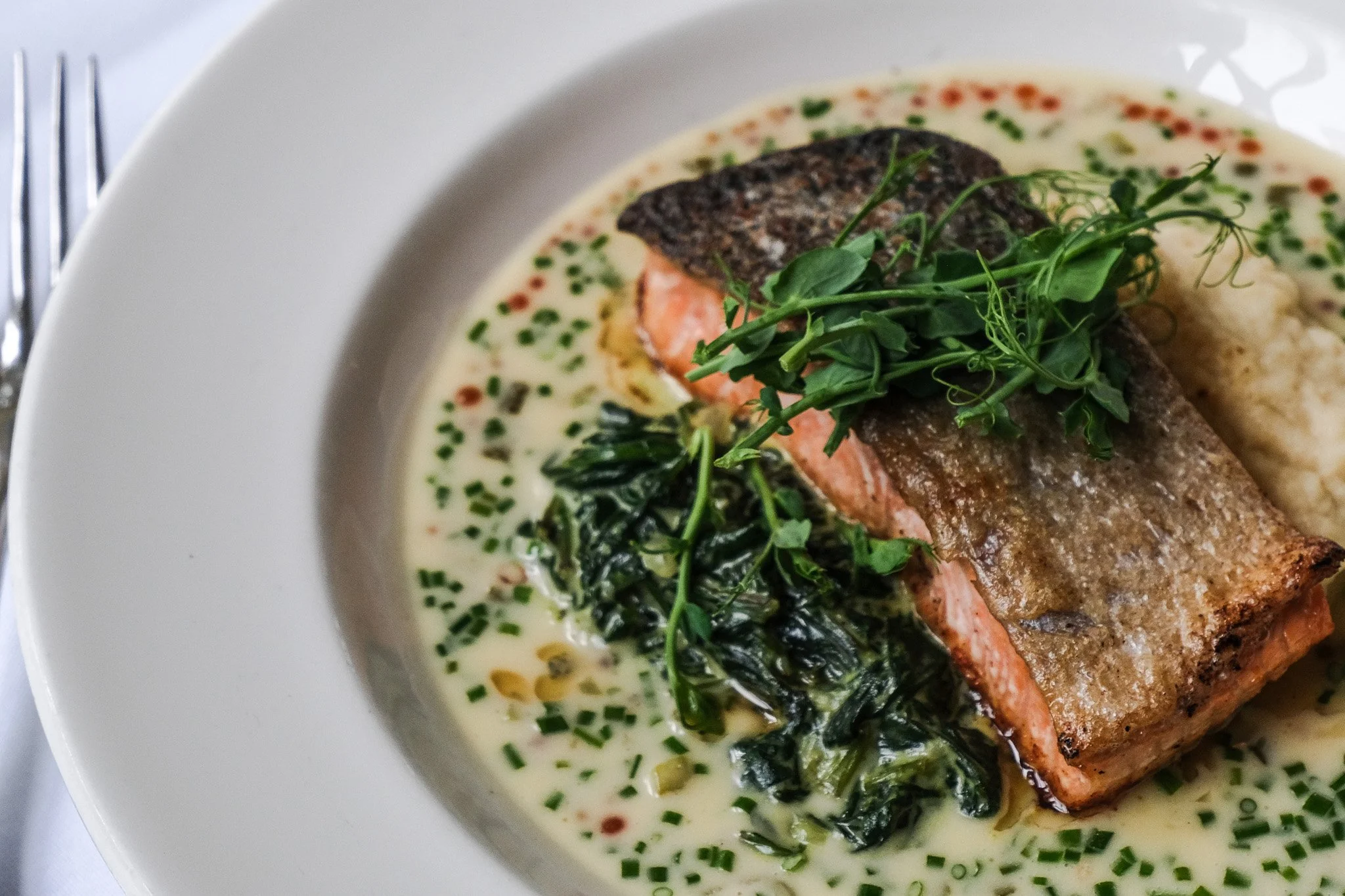 Our Seared Faroe Island Salmon has become a guest favorite, thoughtfully prepared with creamed Bloomsdale spinach, celery root pur&eacute;e, and a vermouth &amp; trout roe beurre blanc.

Pair it with a beautifully chilled white or an elegant light-bo
