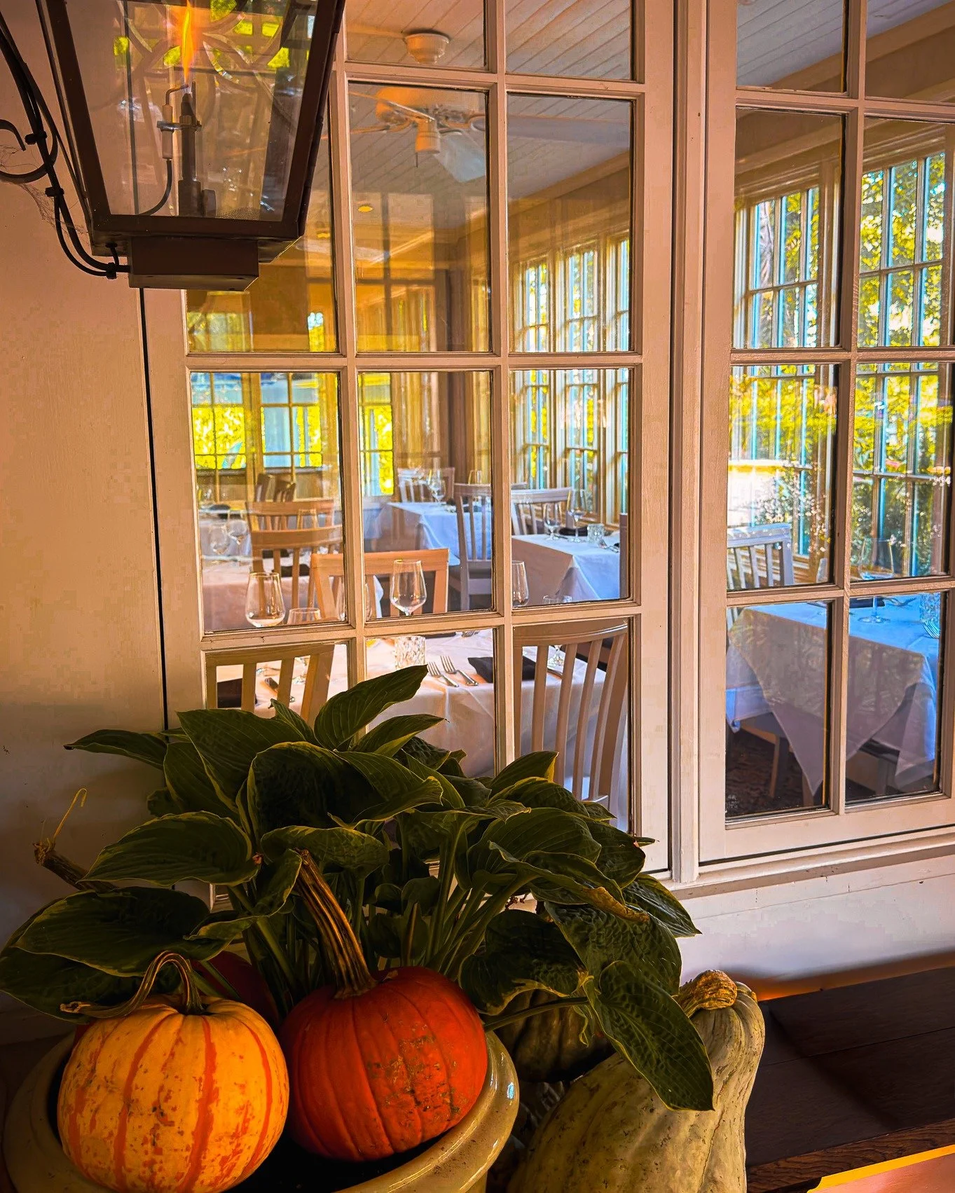 The leaves are turning, the pace is slowing, and Cape May is at its coziest.

We&rsquo;ve slipped into our fall schedule, Friday through Sunday: Wine Bar at 4PM. Dinner at 4:30PM. 

Autumn is Cape May&rsquo;s best-kept secret. Come be in on it. 

#ca