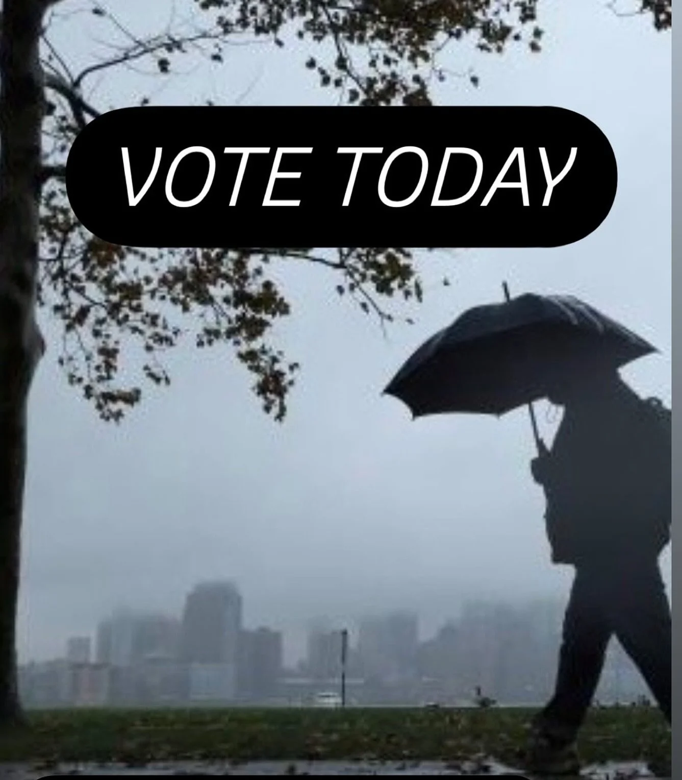 Confirm your voting location at this link:
https://nj.gov/state/elections/vote-polling-location.shtml