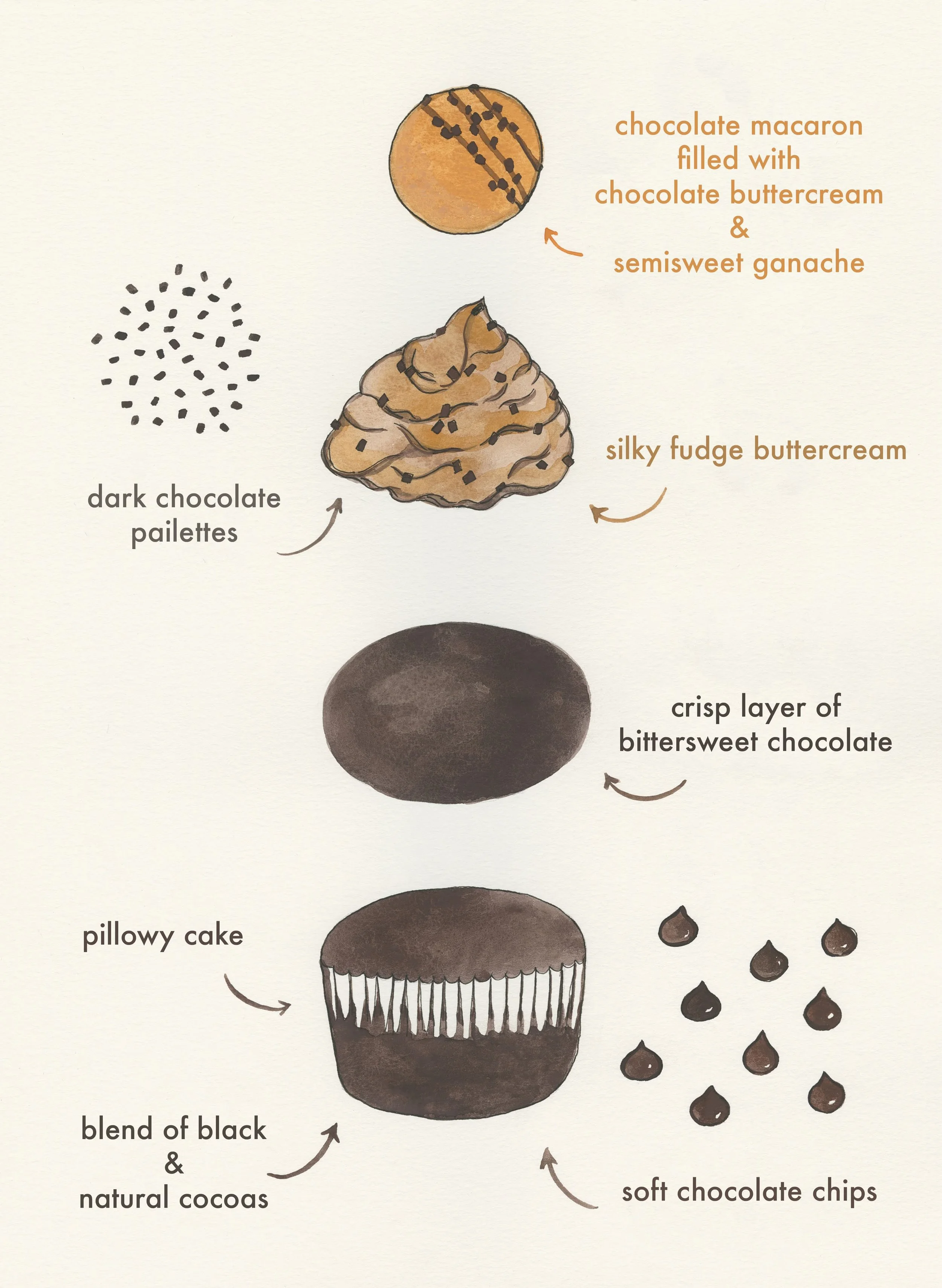 Chocolate Cupcake Futura.jpeg