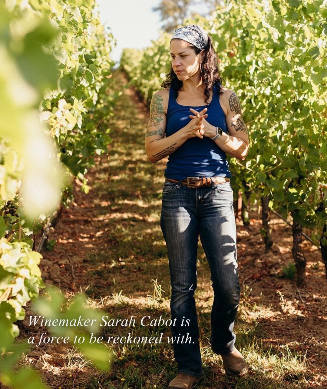 ✨A little taste of Oregon wine country has arrived at WildFin. 🍷

Meet Cloudveil Wines, crafted by winemaker Sarah Cabot, whose passion for the land shines through every vintage. Inspired by the cool morning fog that settles over Oregon&rsquo;s vine