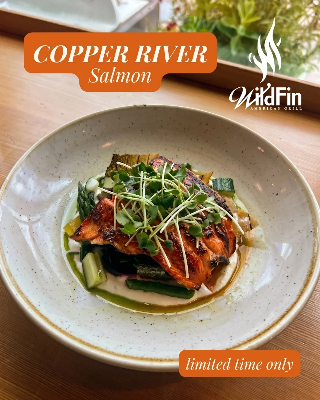 The best of the best salmon is here. 👑🐟

Copper River Salmon is available NOW at WildFin American Grill &mdash; and it never lasts long. 

Prized for its incredibly rich flavor and sky-high omega-3 content, this wild-caught Alaskan gem travels thou