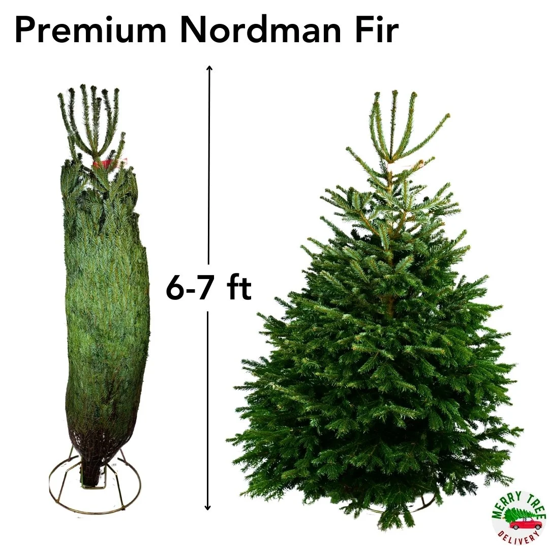 l pair.jpg
