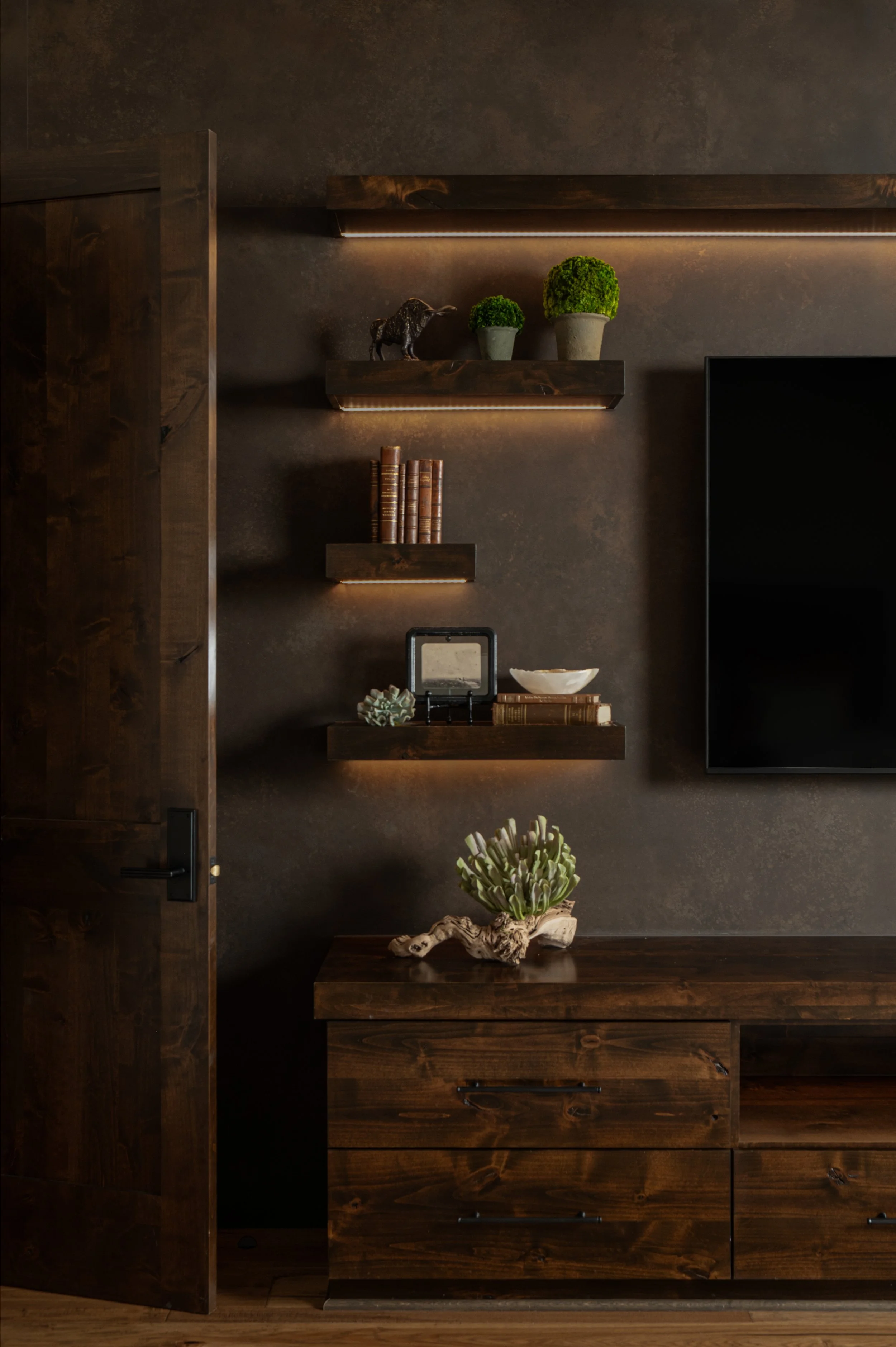 Wooden cabinet with decorative items including a succulent, cactus, and driftwood, along with shelves holding books, potted plants, and small decorative objects, against a textured dark wall.