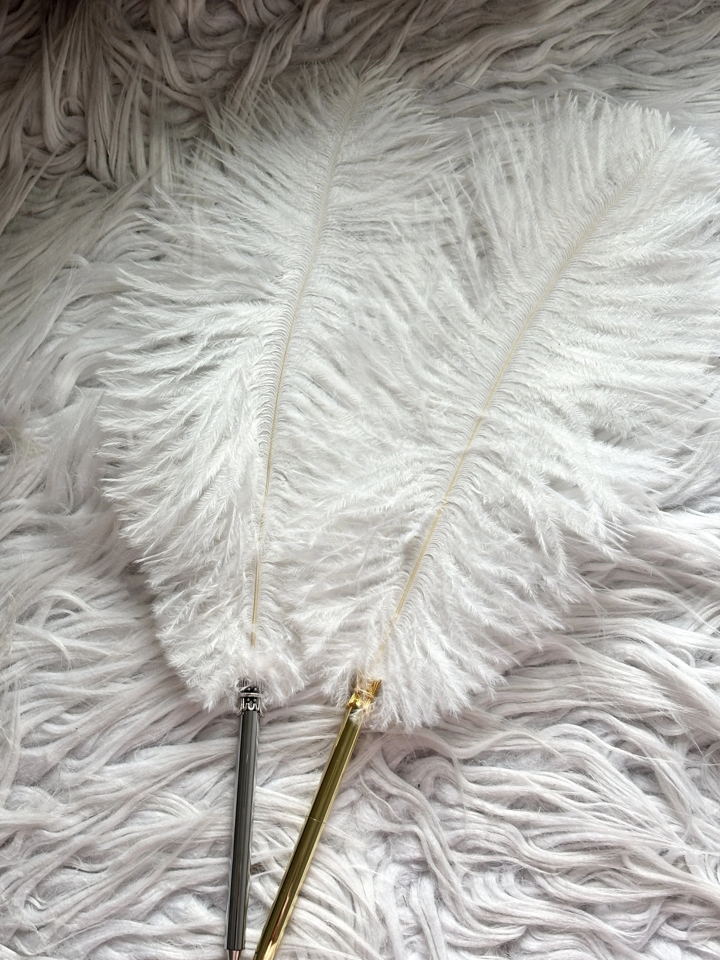 Ostrich Feather Nikkah Pen