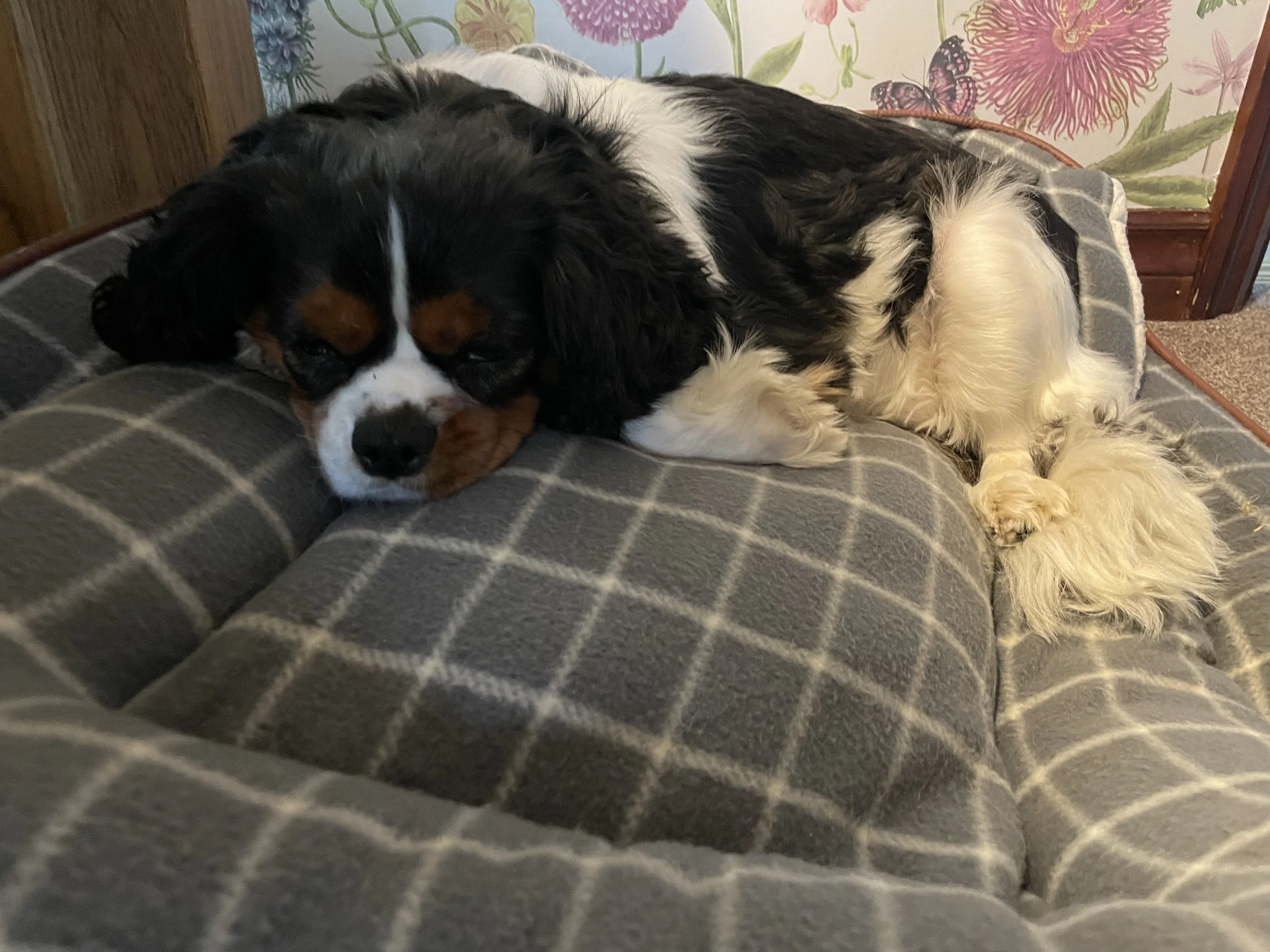 2024-09-30 08.57.38.jpg