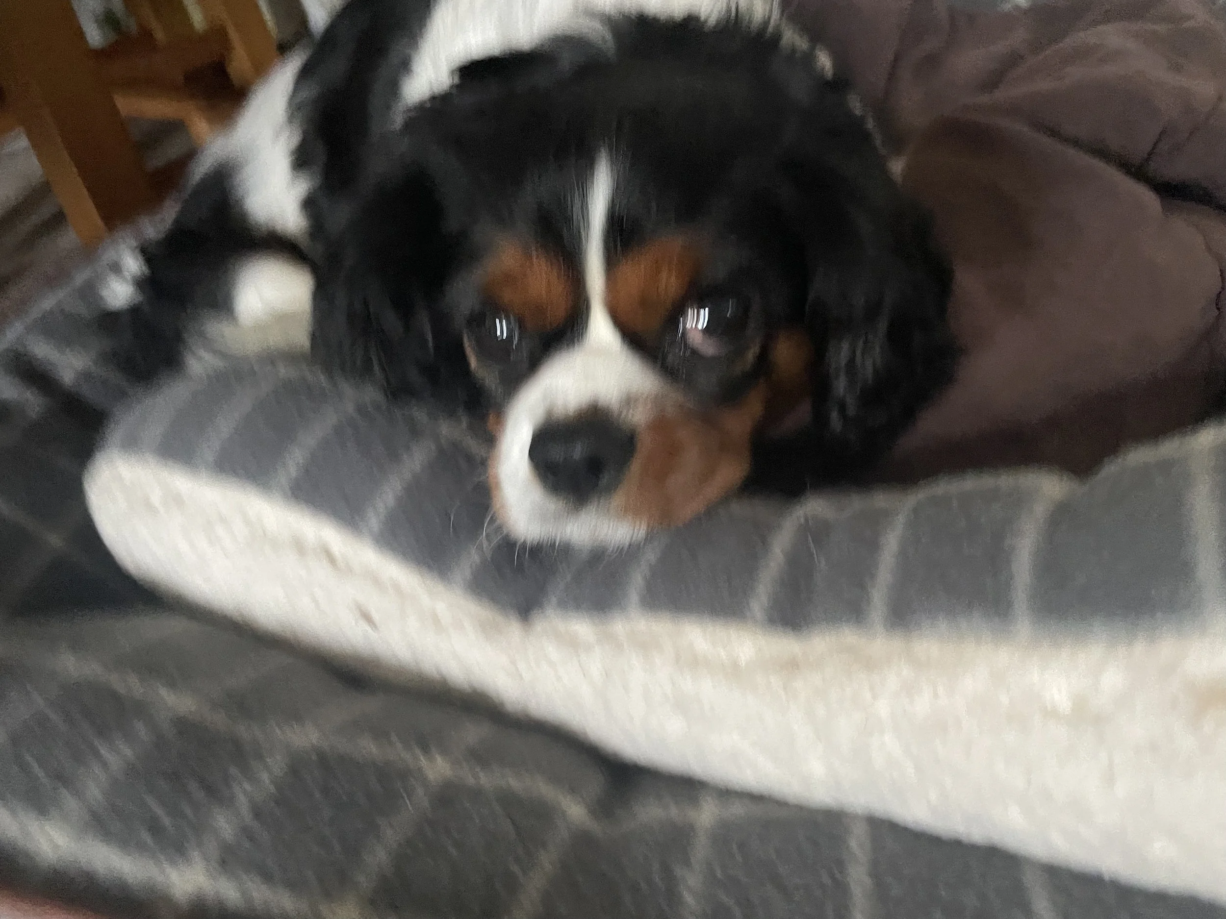 2024-09-29 09.33.40.jpg