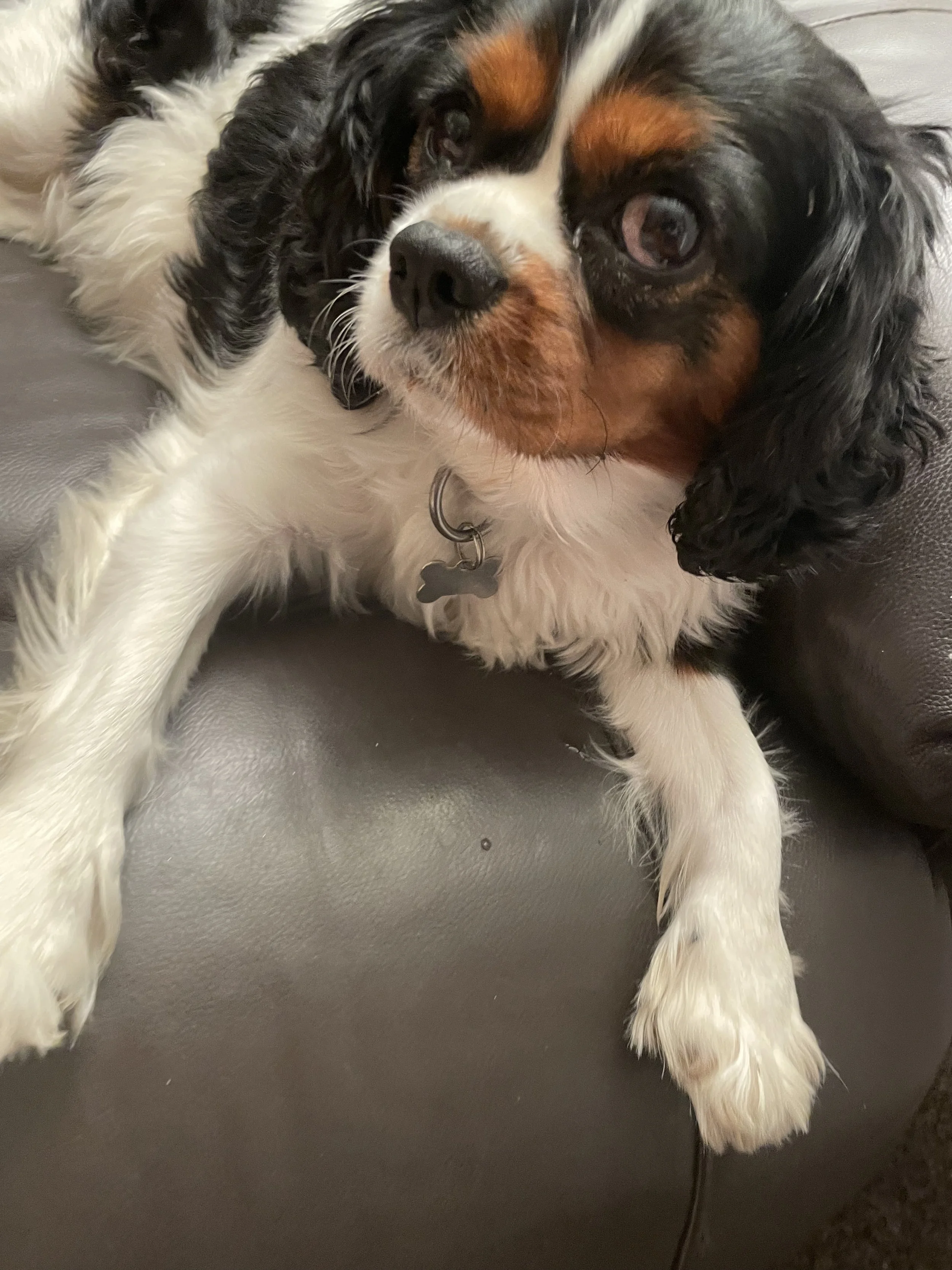 2024-09-29 19.14.57.jpg