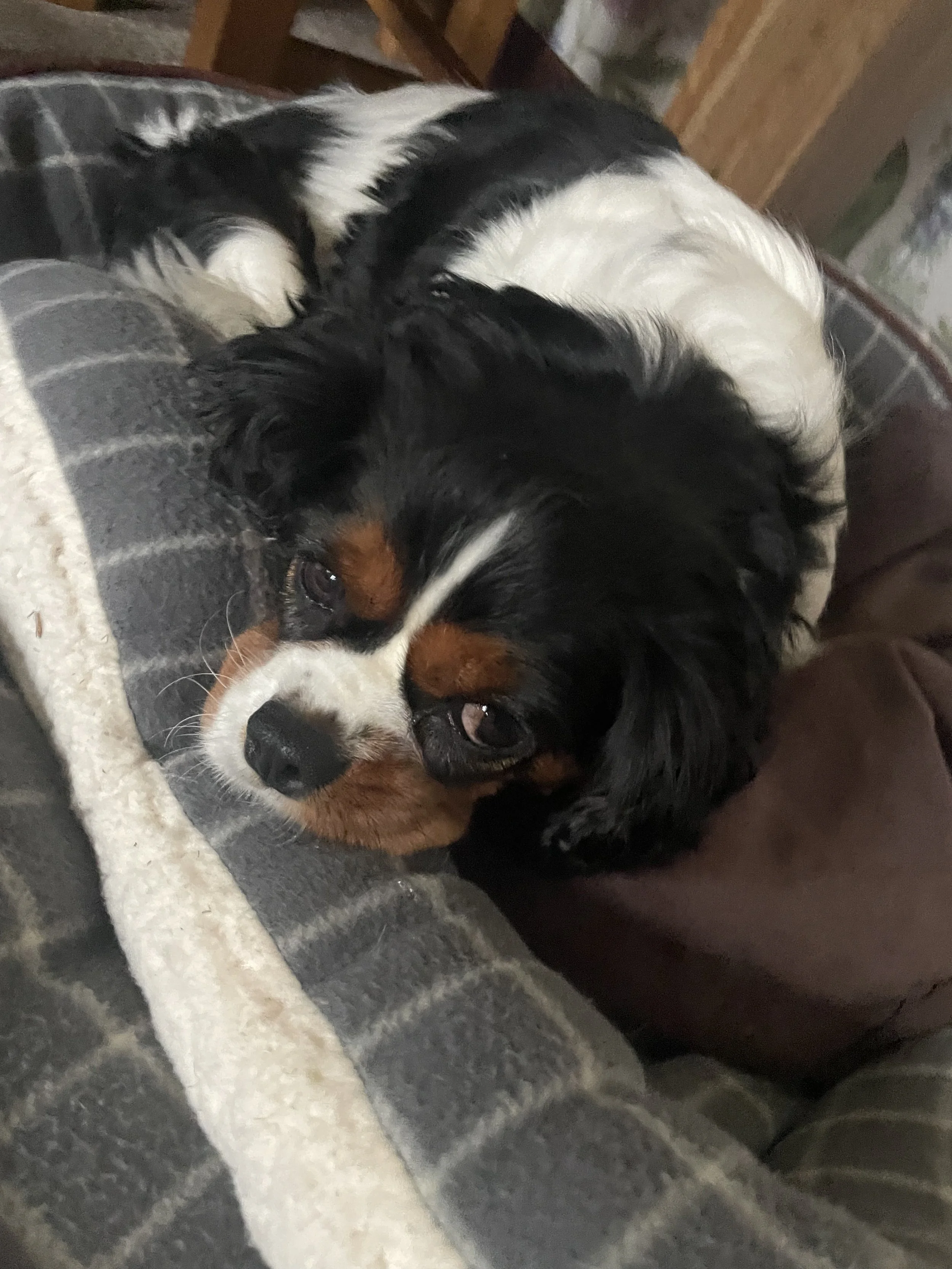 2024-09-29 09.33.47.jpg