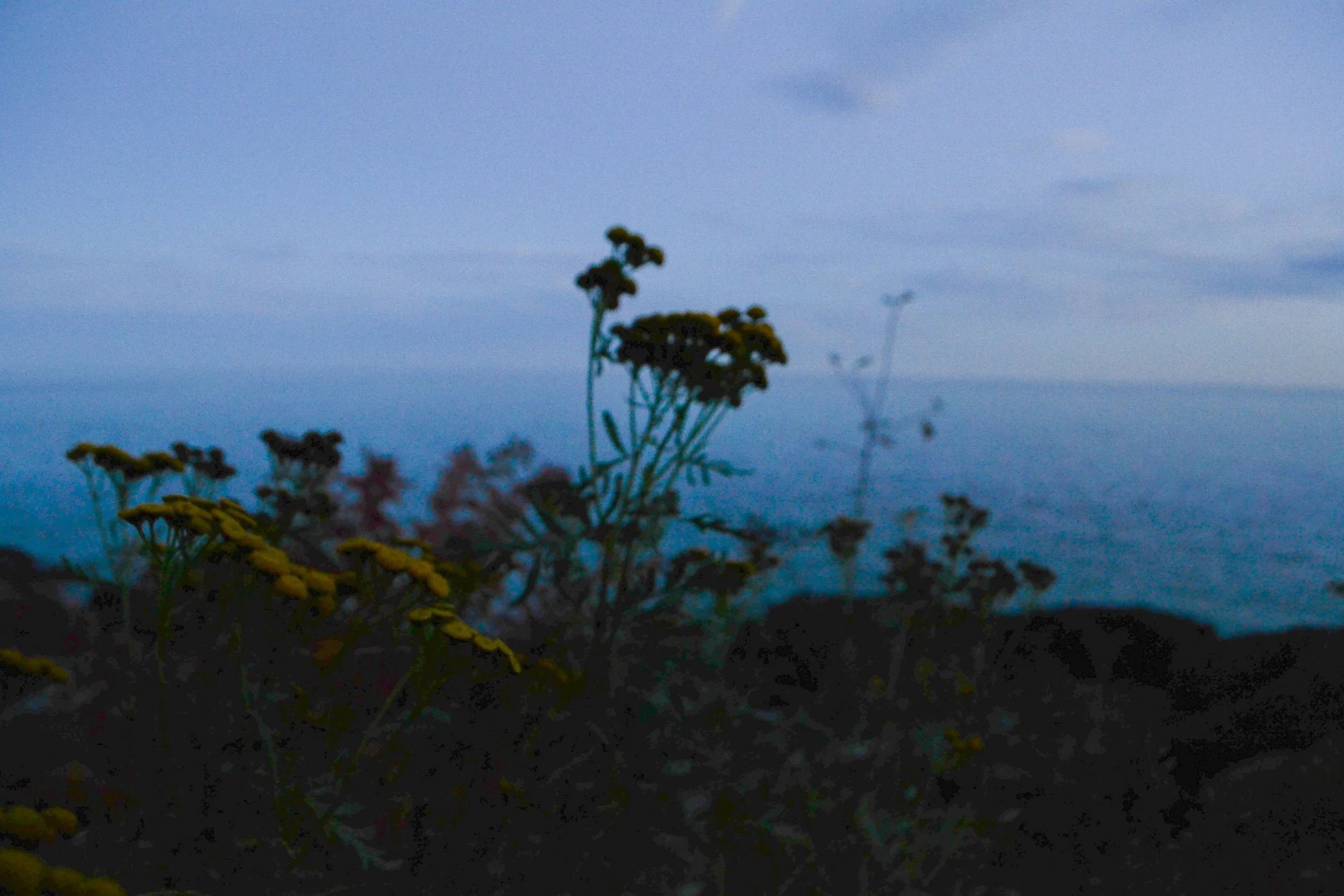 DSC_3775.JPG