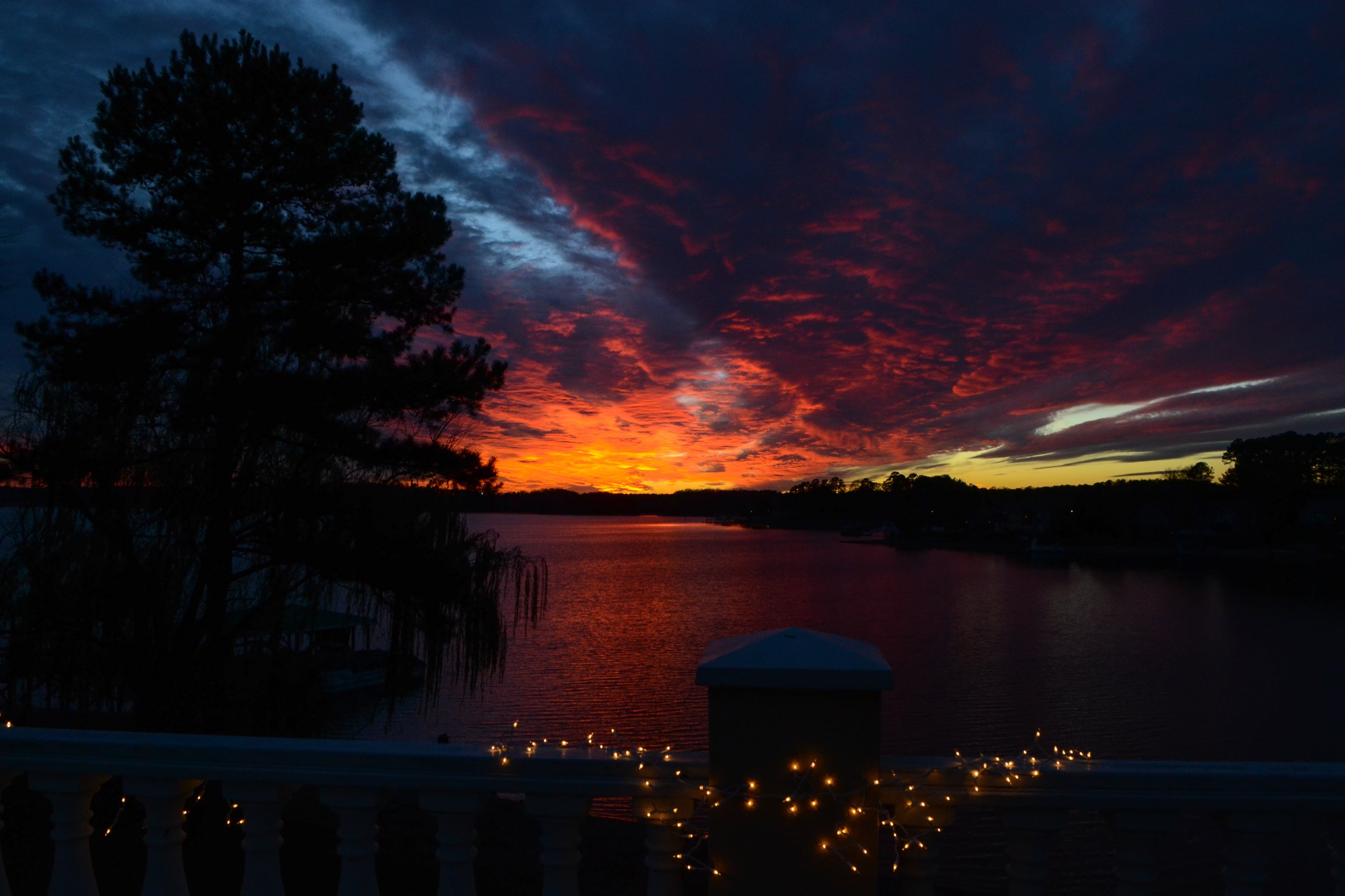 DSC_3881.JPG