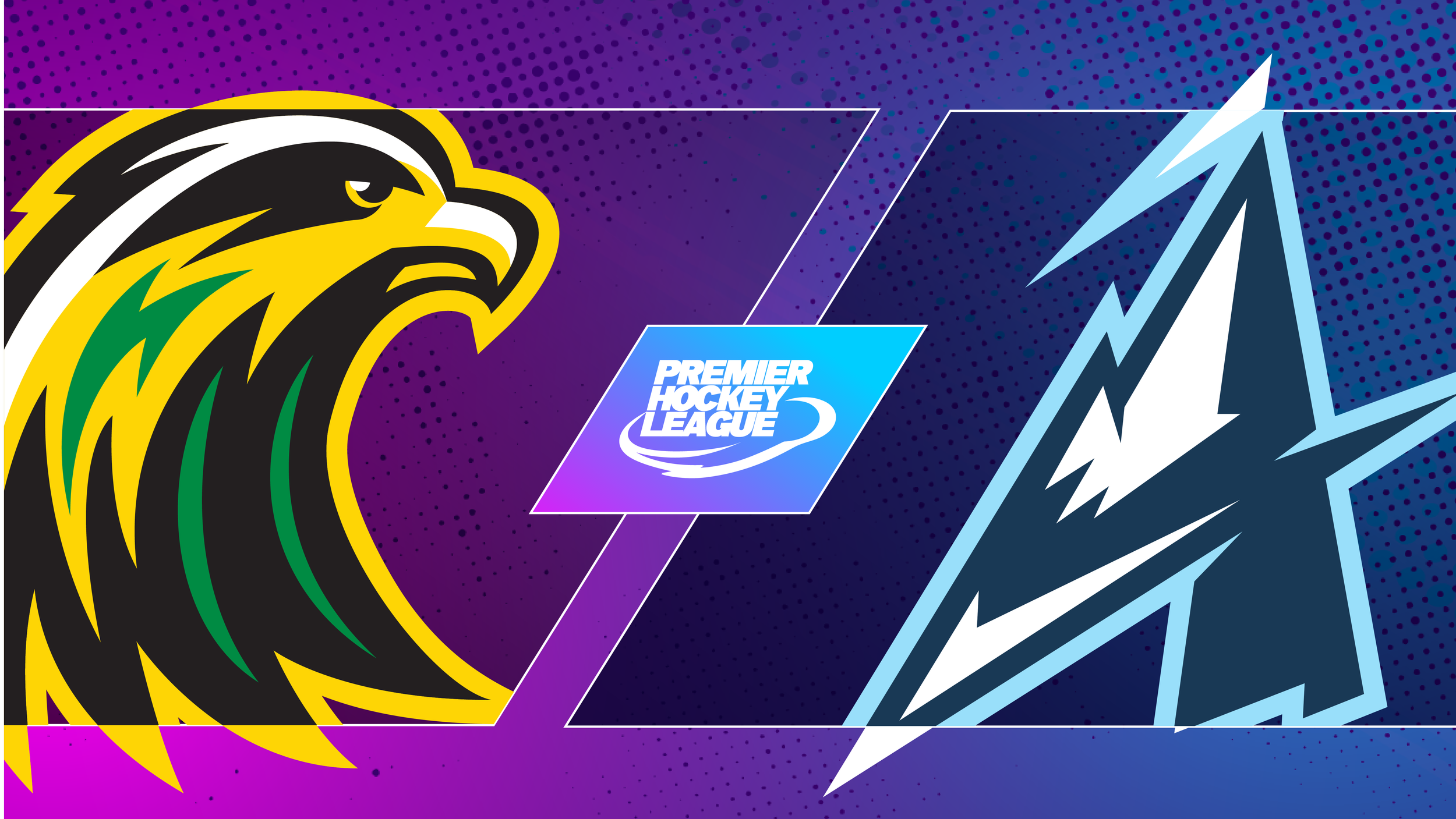 Round 5 - Falcons vs Alpiners