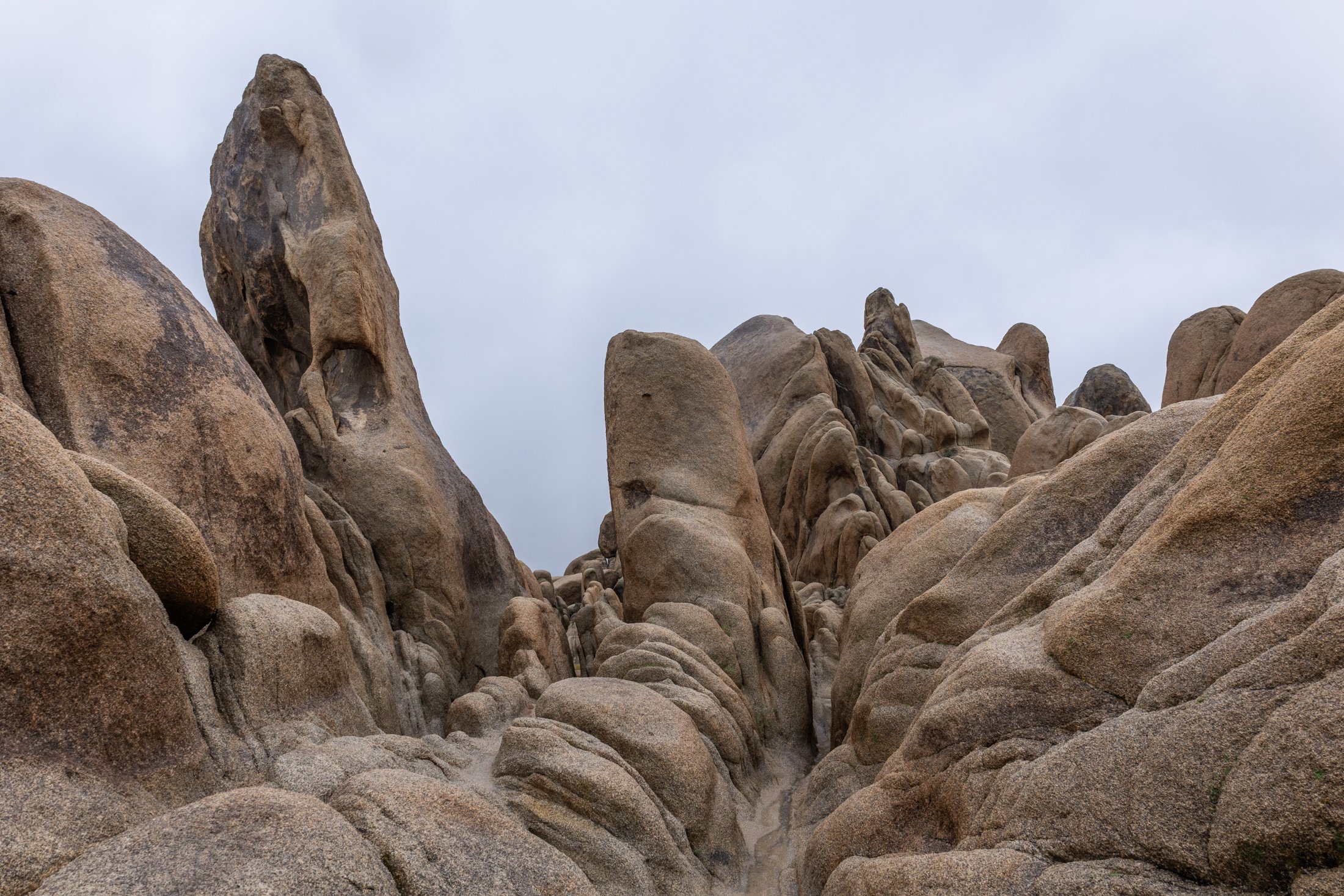 Weathering | Joshua Tree