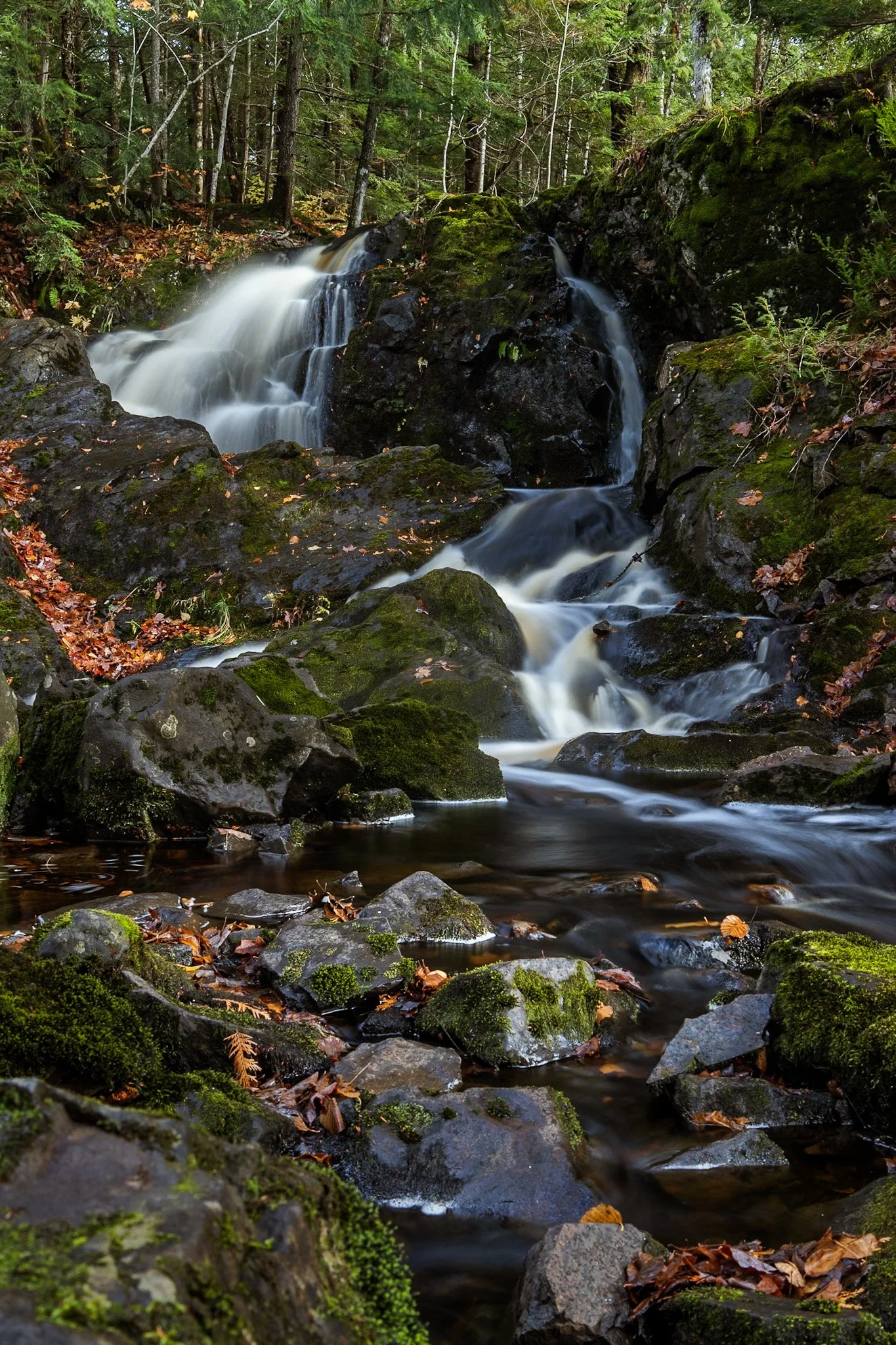 Wyandotte Falls | Upper Peninsula
