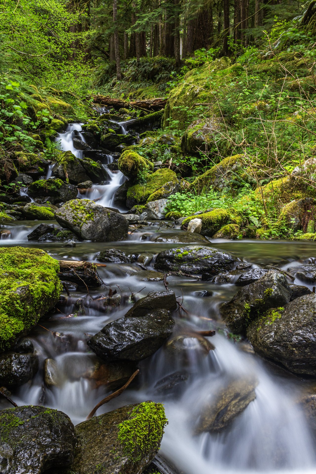 Cascade_Enchanted_Valley.jpg