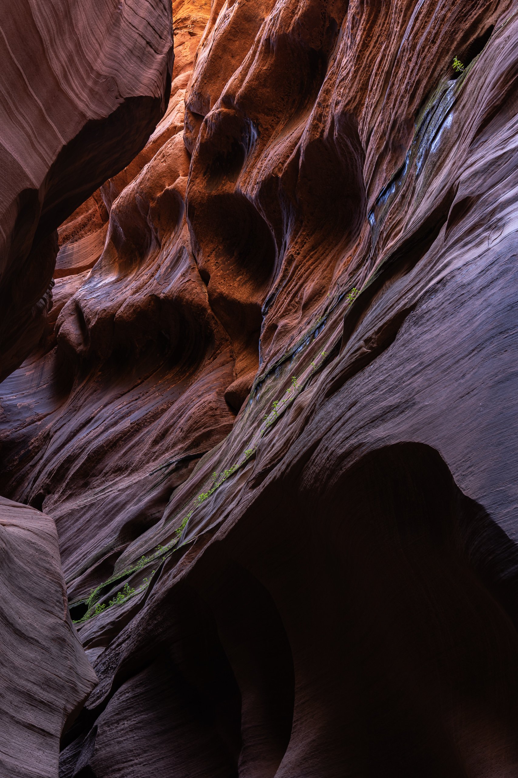 Buckskin_Gulch_Utah_Slot_Canyon1.jpg
