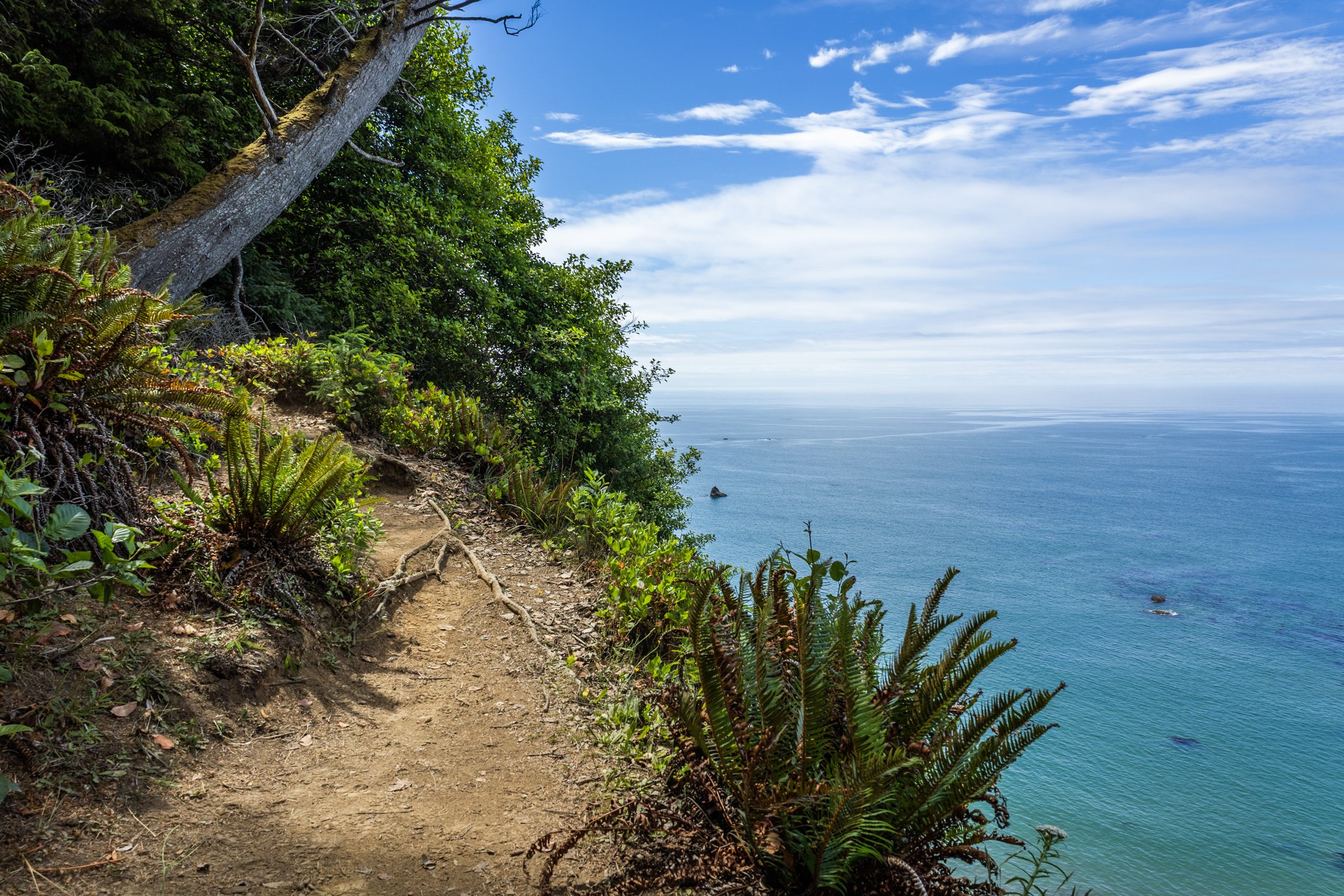 Outcrop | Olympic
