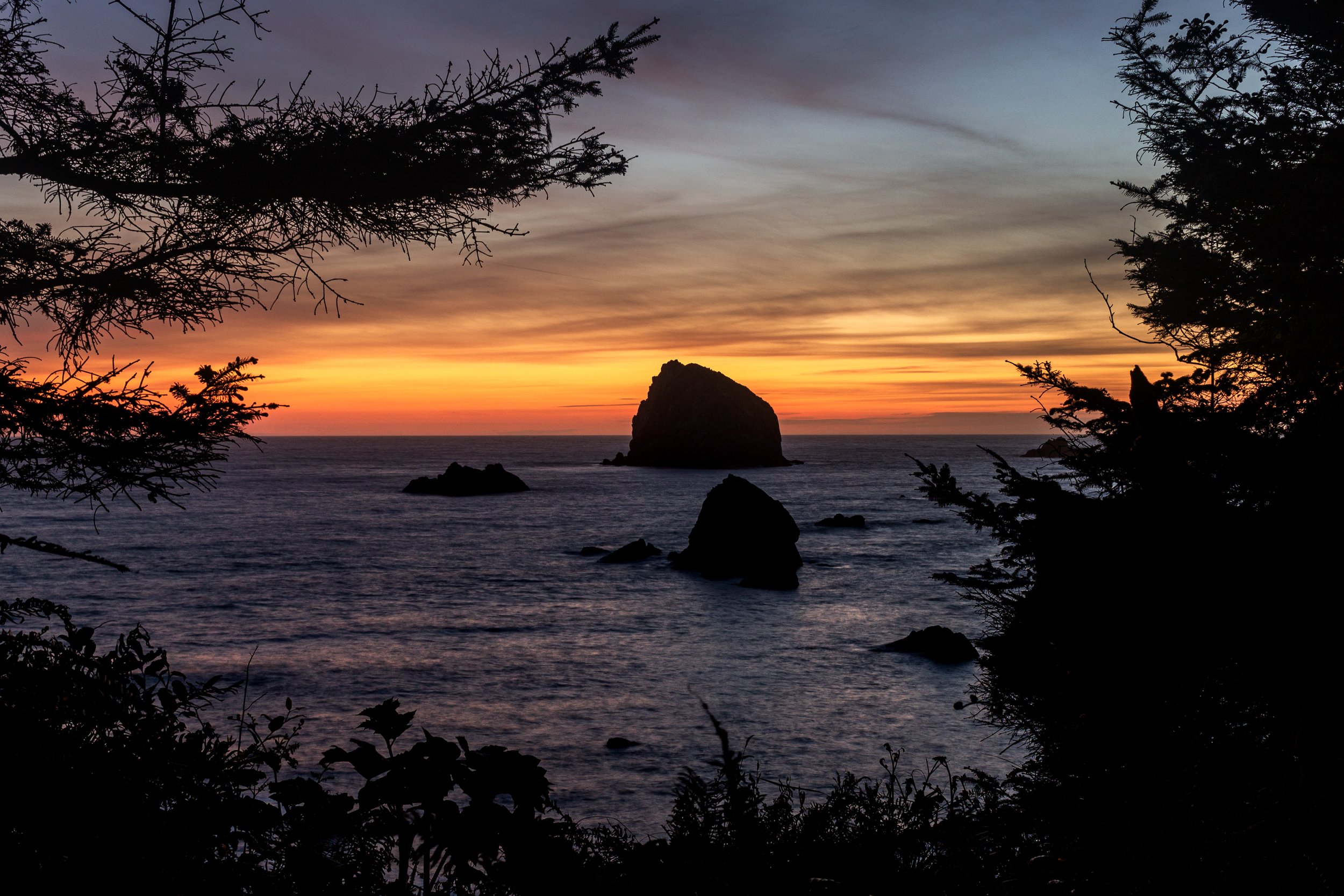 Seastacks-3-Redwoods-1.jpg