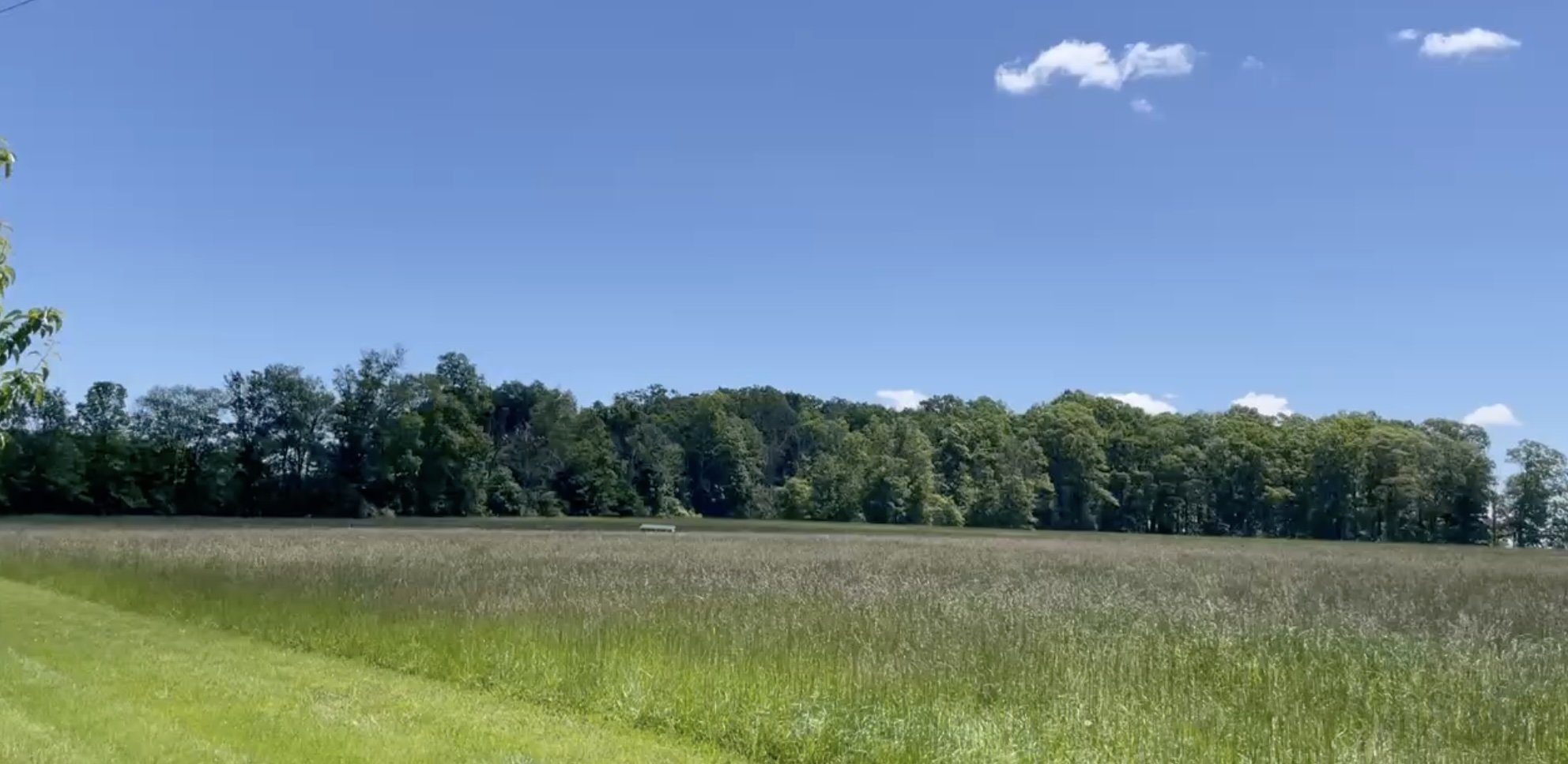 Beautiful spring day in the upper fields