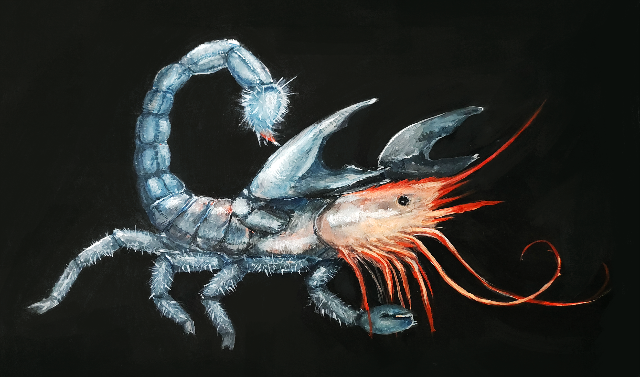 Completed Prawnorpion creature illustration