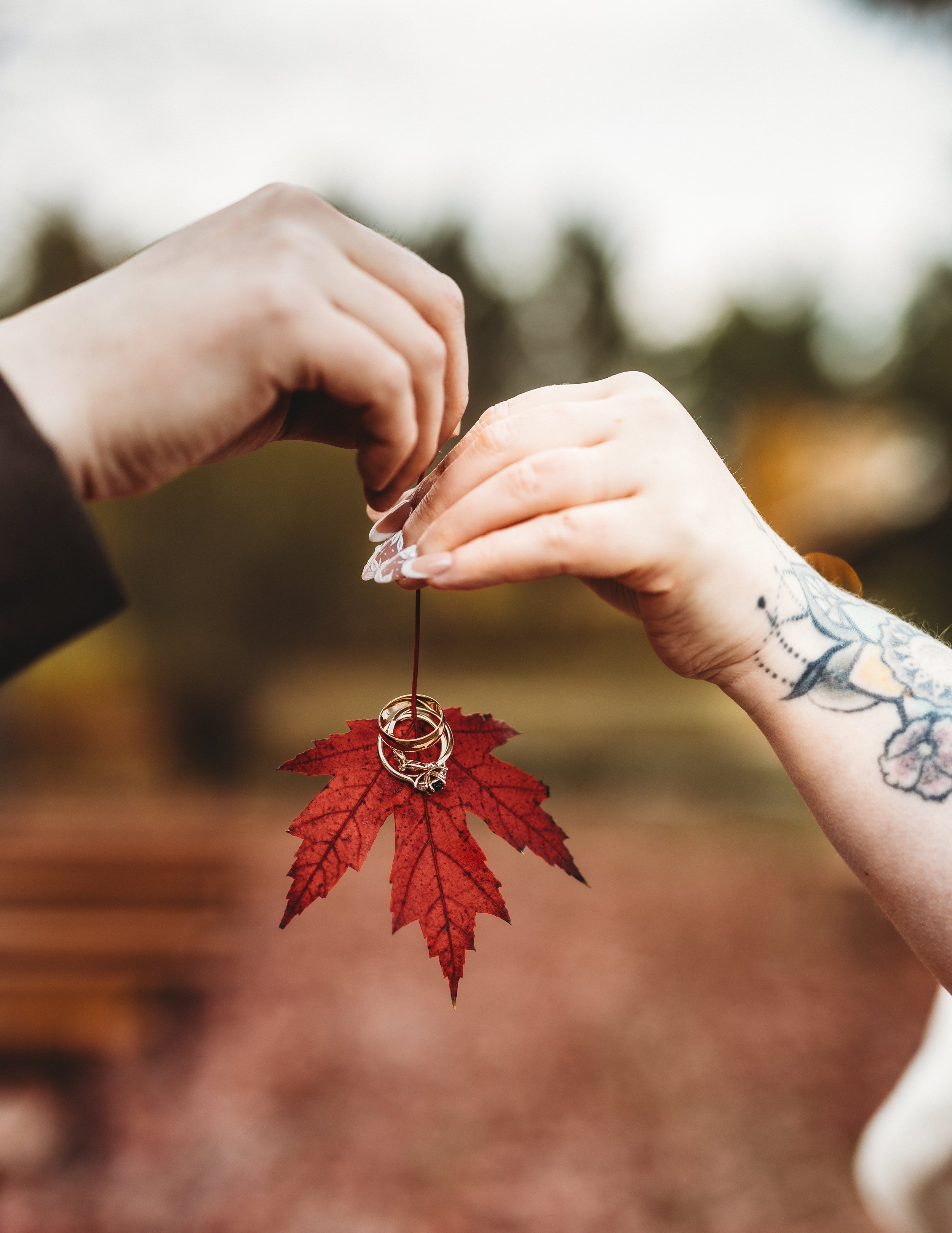 Photo 2025-10-26, 4 40 47 PM (1).jpg