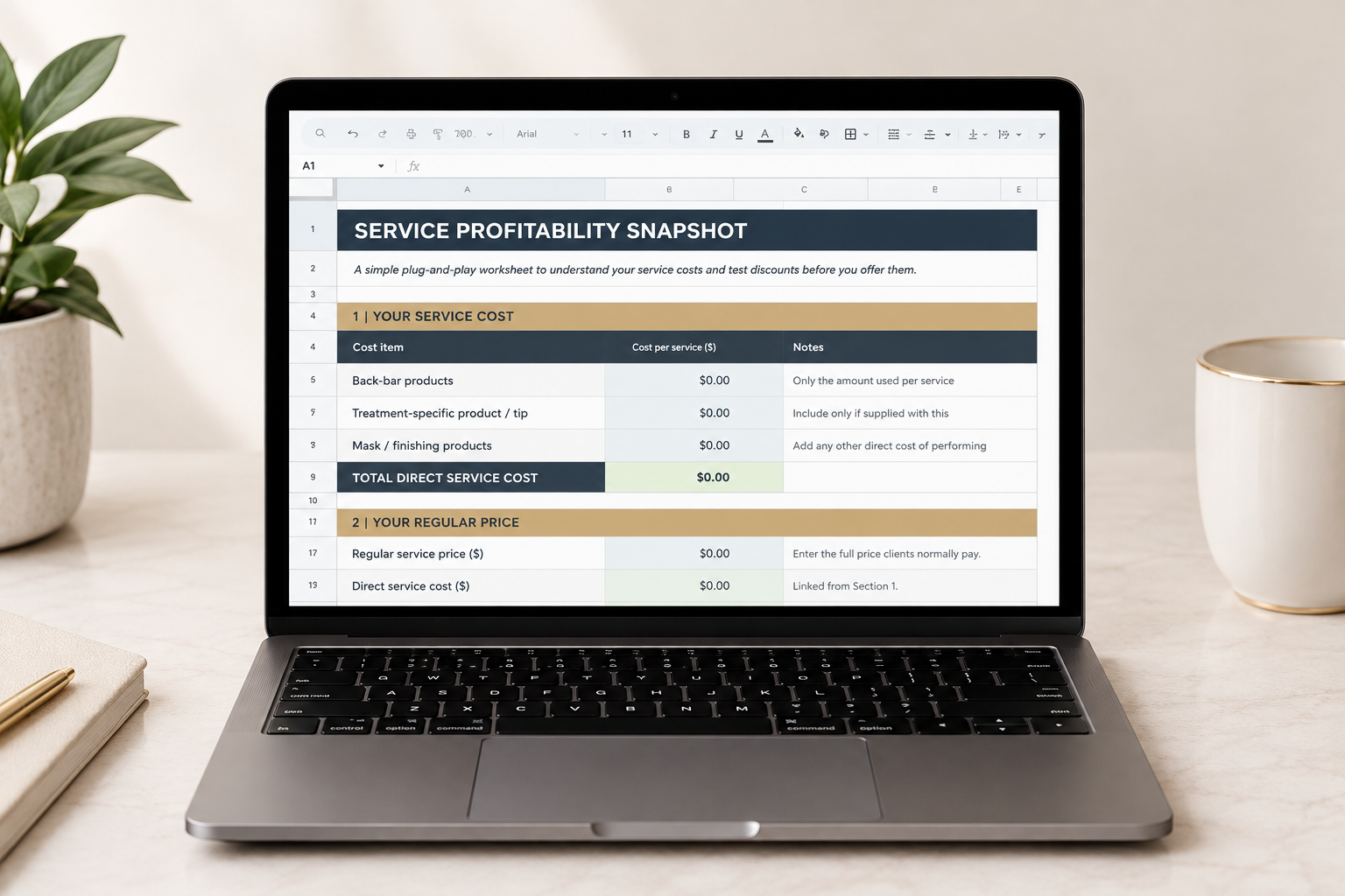 Service Profitability Laptop Mockup.png