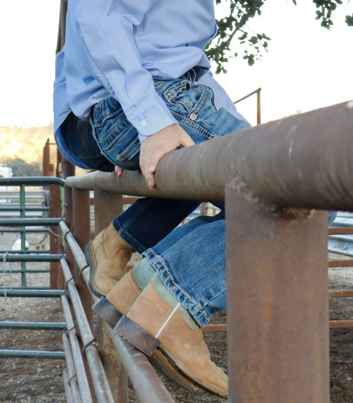 Person sitting on top of a rusted metal fence, wearing a blue shirt, jeans, and tan cowboy boots.