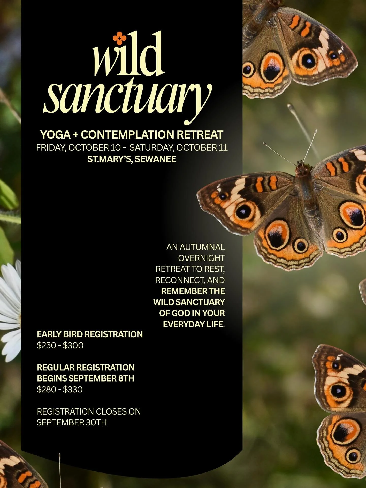 FRIENDS! Talk about a ✨dream come true✨
@wildsanctuaryretreats is hosting our very first OVERNIGHT RETREAT 🌙☀️

At the beautiful grounds of St.Mary&rsquo;s in Sewanee, we will be gathering for a Friday night and a full day Saturday to embrace the Wi