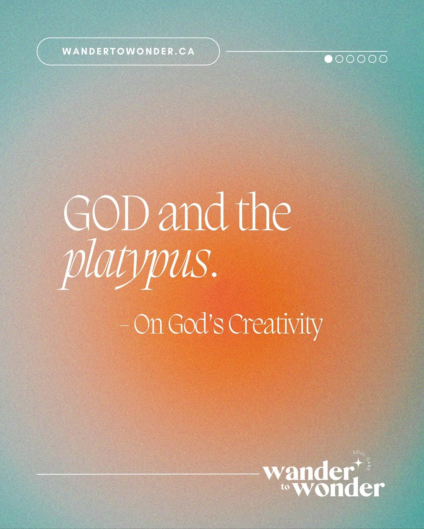 SUNDAY REFLECTIONS ๐ฆซ๐ฆ๐ฆฆ๐๐
1๏ธโฃ Read the poem below๐
Do you imagine
God created the platypus first,
then separated out its features
into their own animals?
Or do you imagine
God created beavers, ducks, and otters first
then smiled at the thought