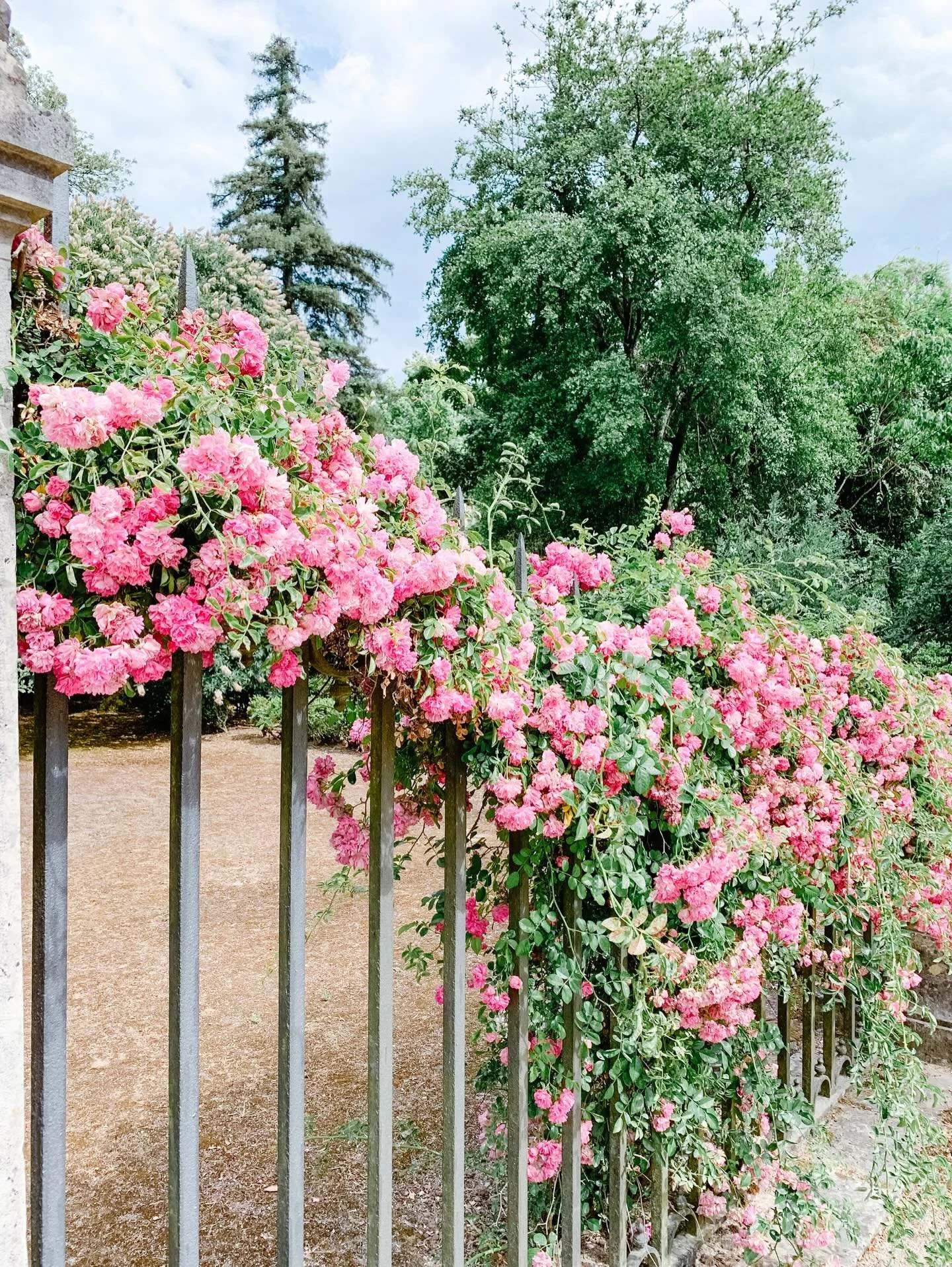 On this Earth Day I thought I&rsquo;d share some pictures from Portugal where we hiked cliffs and walked seaside and went to gardens to see flowers and bamboo and more 🥰

I am always stirred by creation 💞
I&rsquo;m always drawn to the movement of l