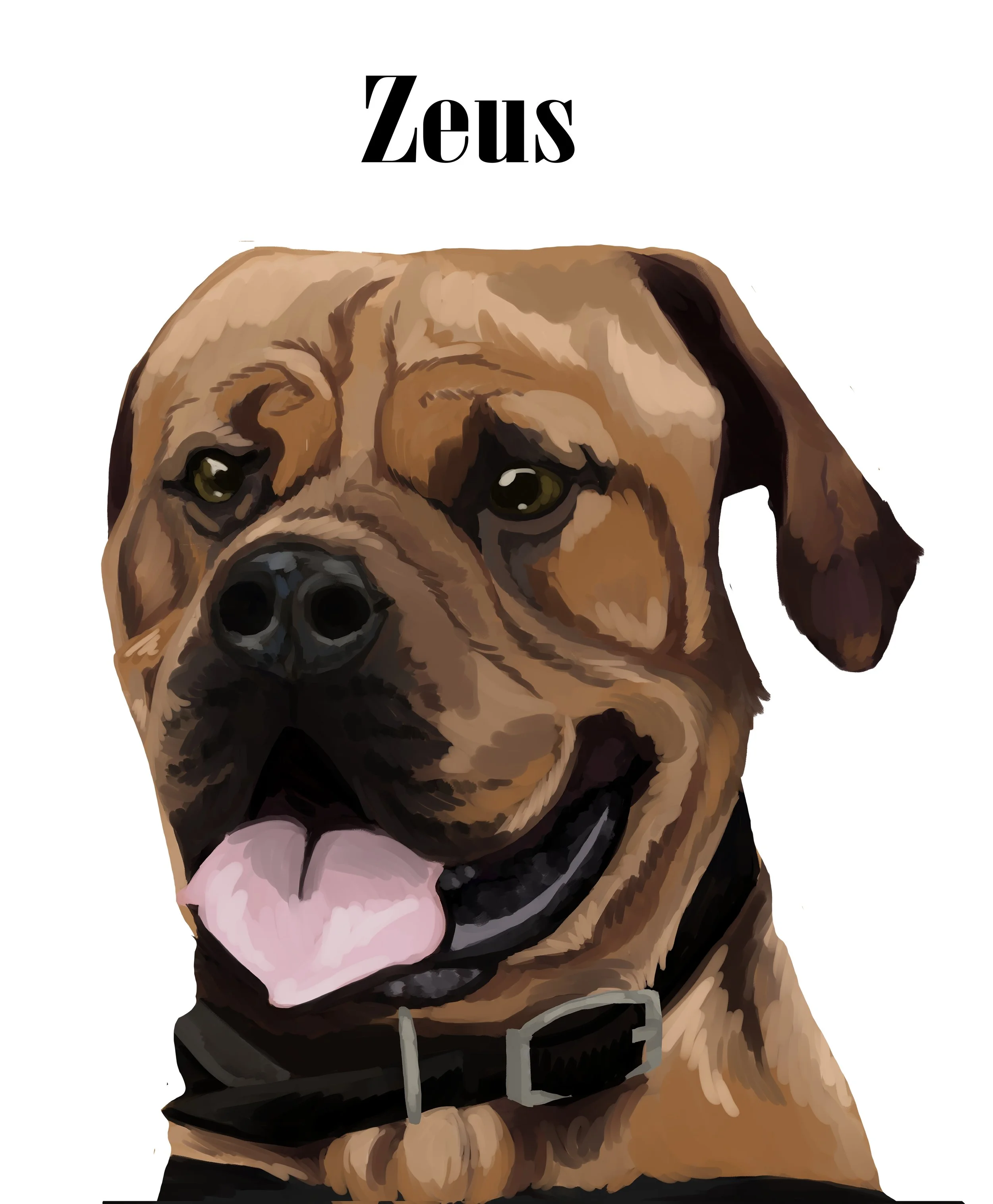 1AA_Zeus Illustration w. text.jpg