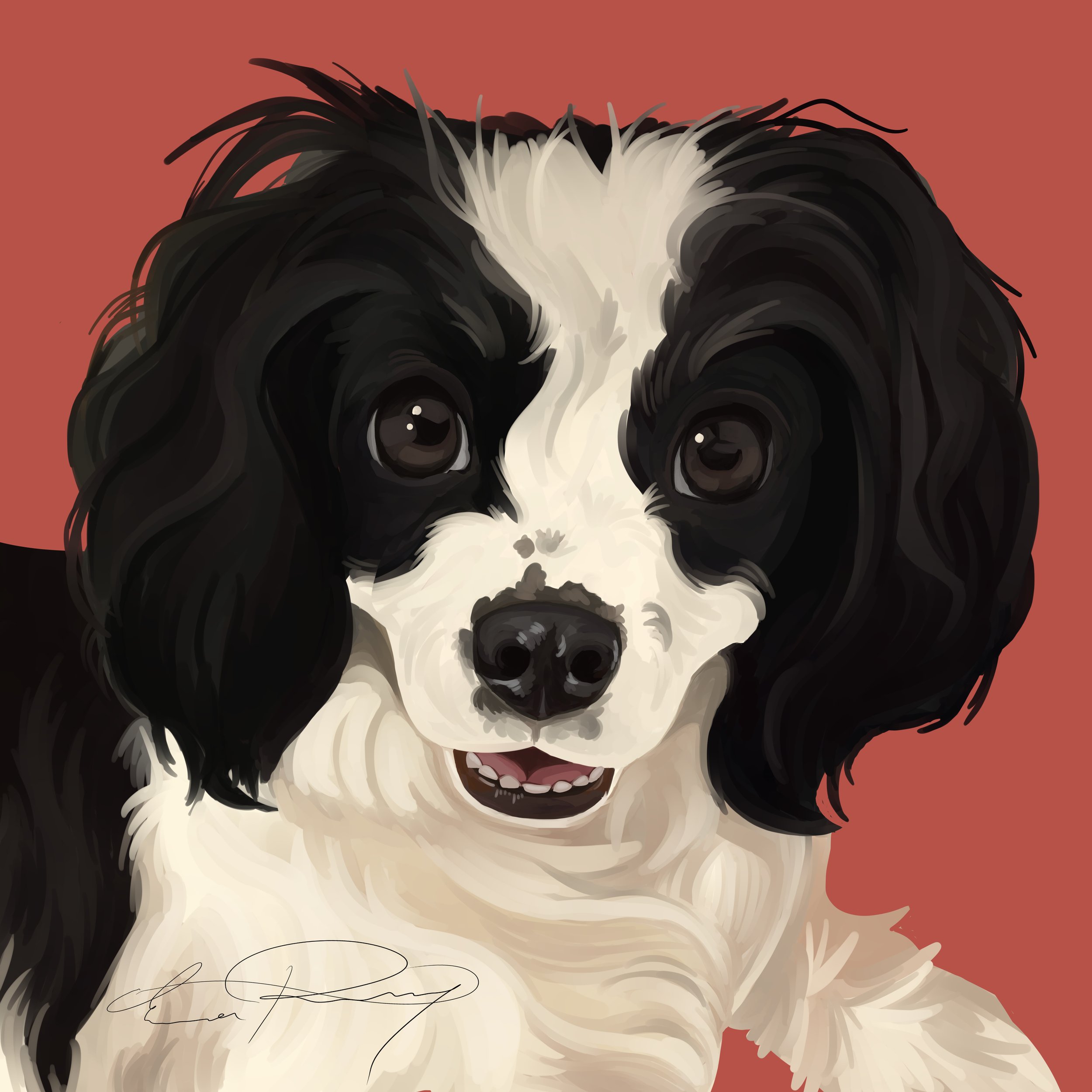 Molly Illustration SIGNED.jpg