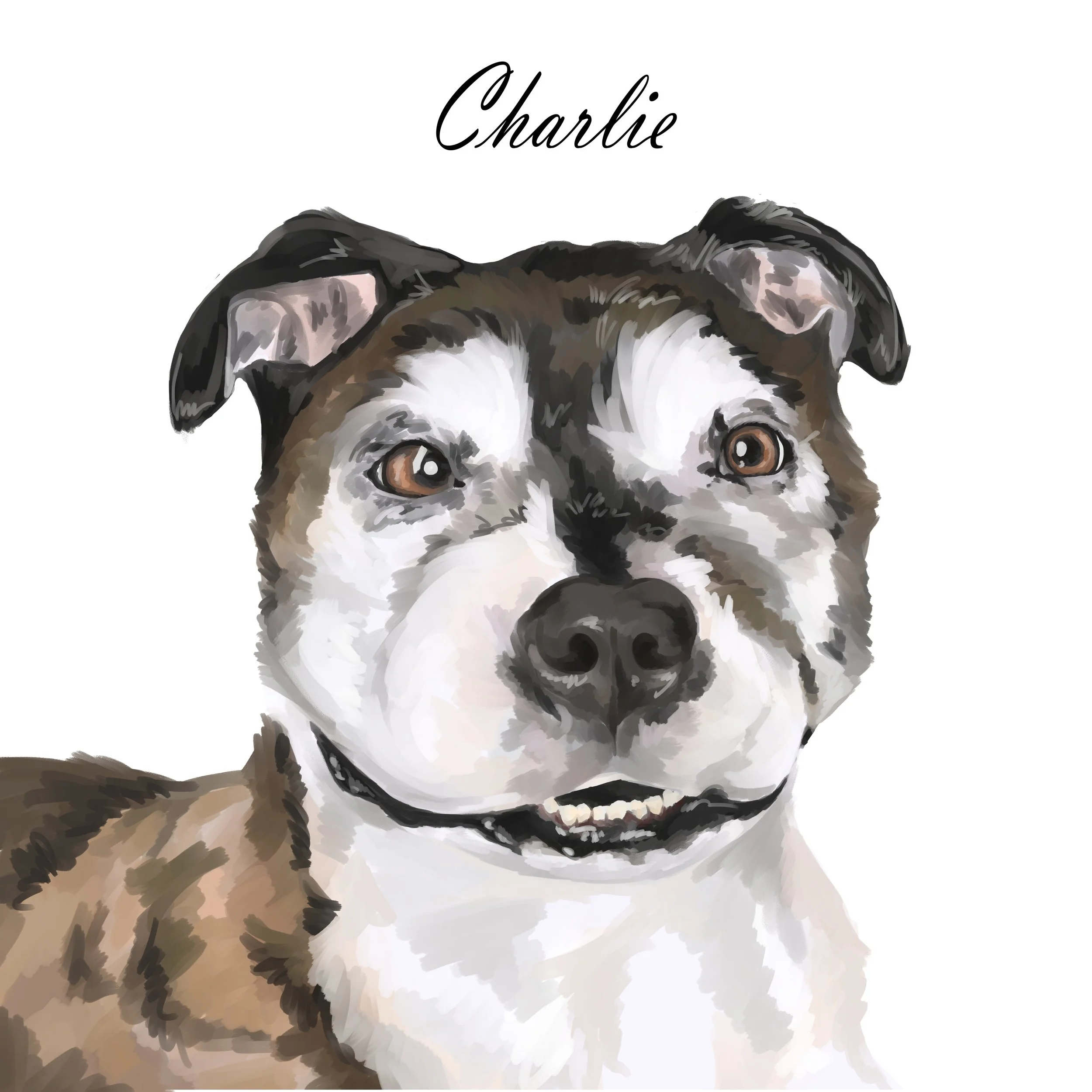 02 Meeshs Illustration Gift w. text.jpg