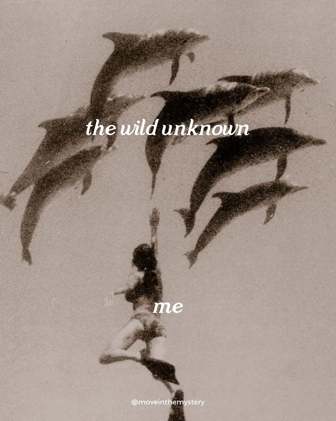 ✨Latihan vibes✨

If you know, you know