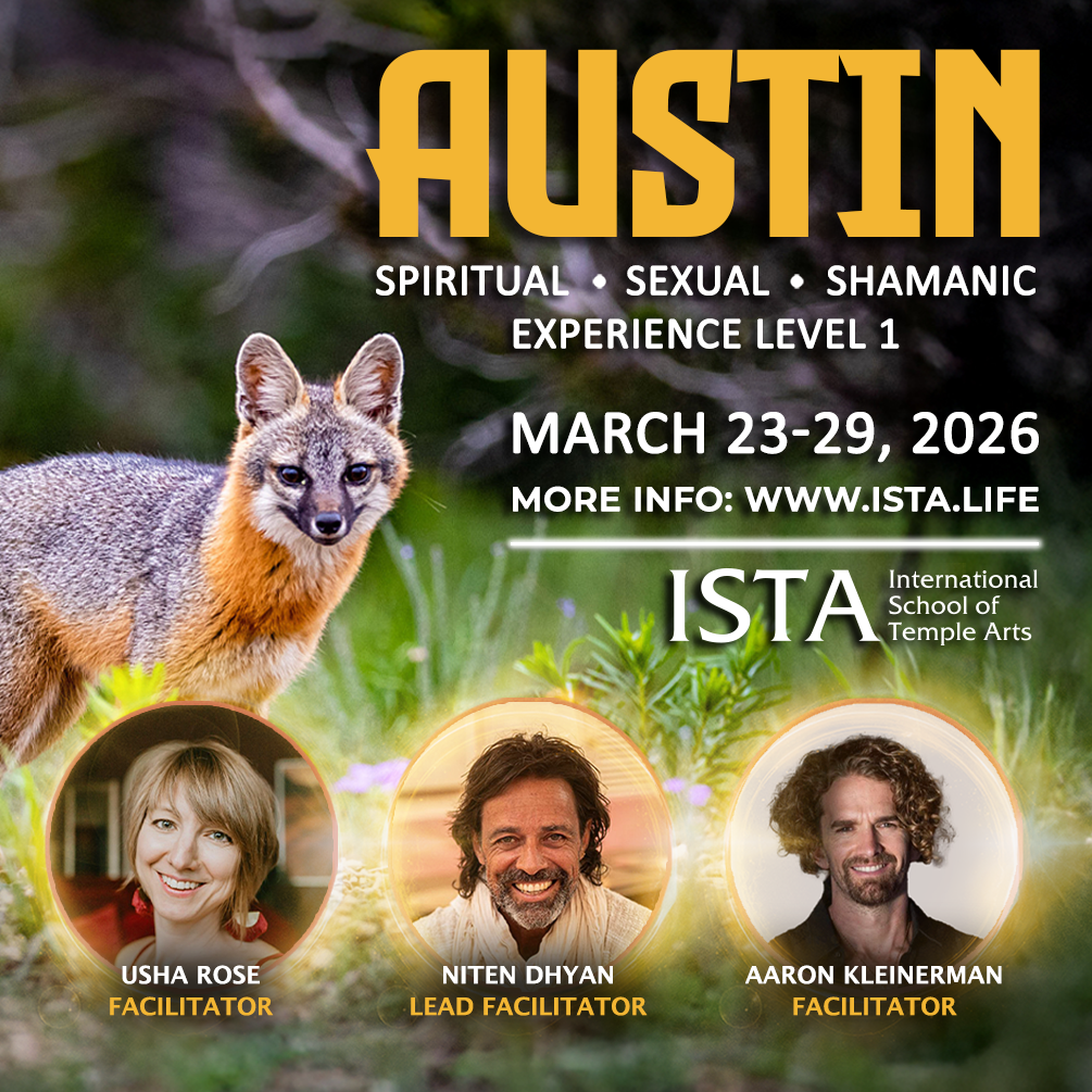 ISTA Level One Austin