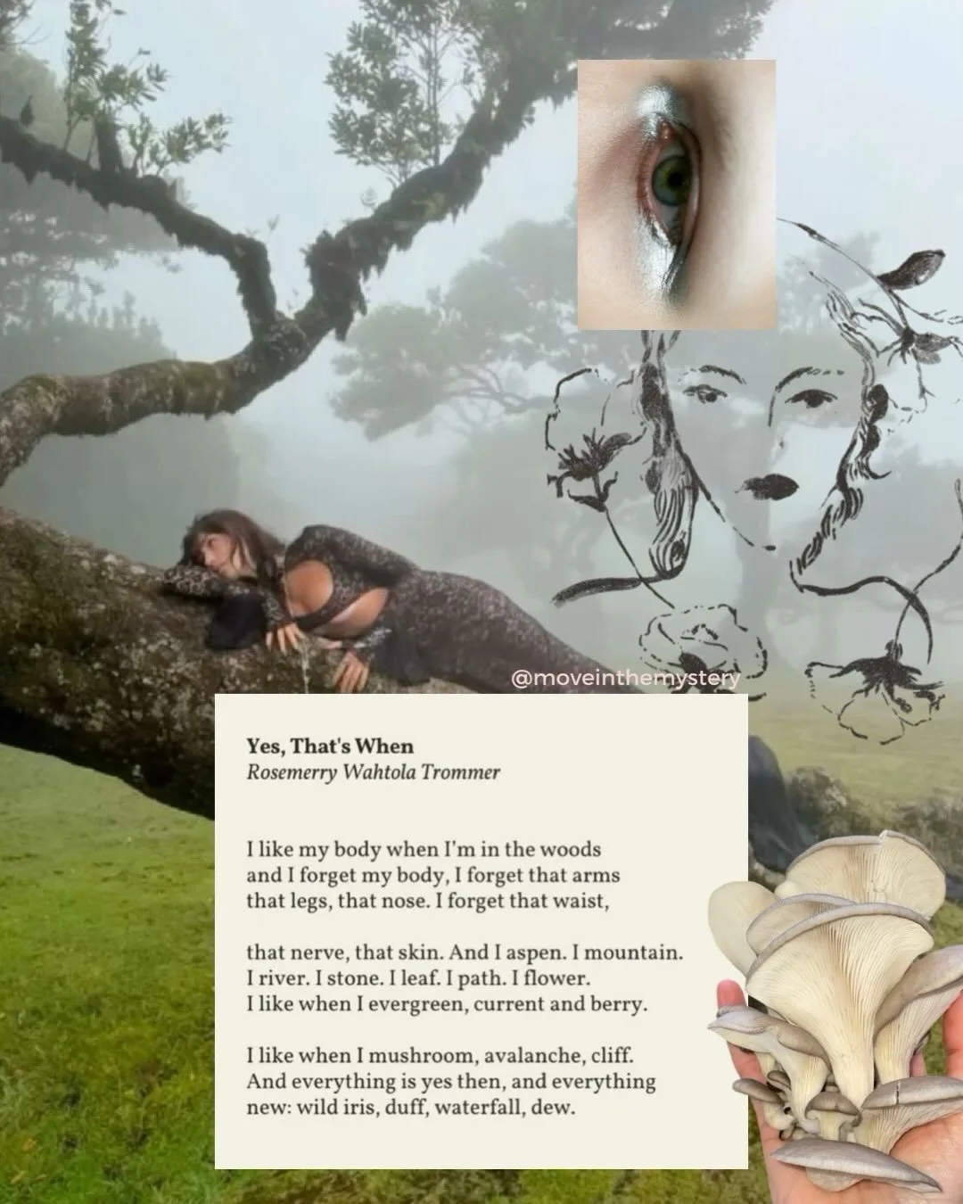 Babe ~ don&rsquo;t forget the psychedelic wonders of closing your eyes and allowing yourself to be moved by the weird wild exquisite cosmos 🐆🦋🪐🪺✨

Come explore the vastness of who you are beneath the masks you wear. Latihan is a blindfolded movem