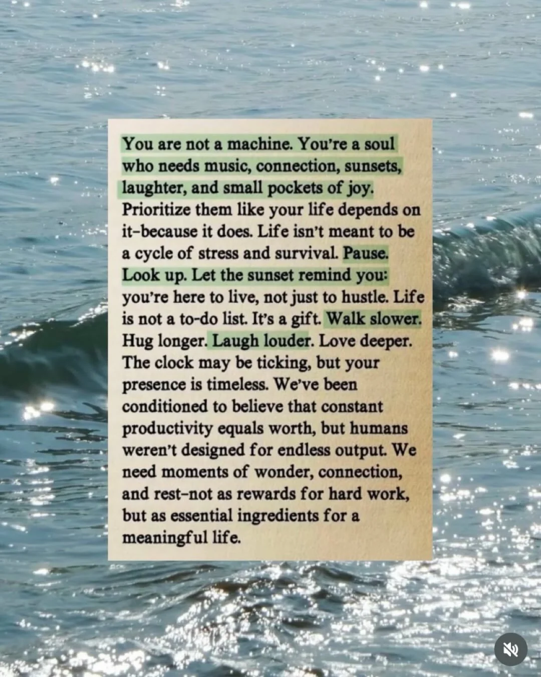 80 summers. That&rsquo;s it. And we&rsquo;d be so thrilled to have you spend a few days of this one with us.

✨Held in the Mystery✨ is the first ever Move in the Mystery retreat &mdash; and as far as we know, the first Latihan retreat ever to exist.
