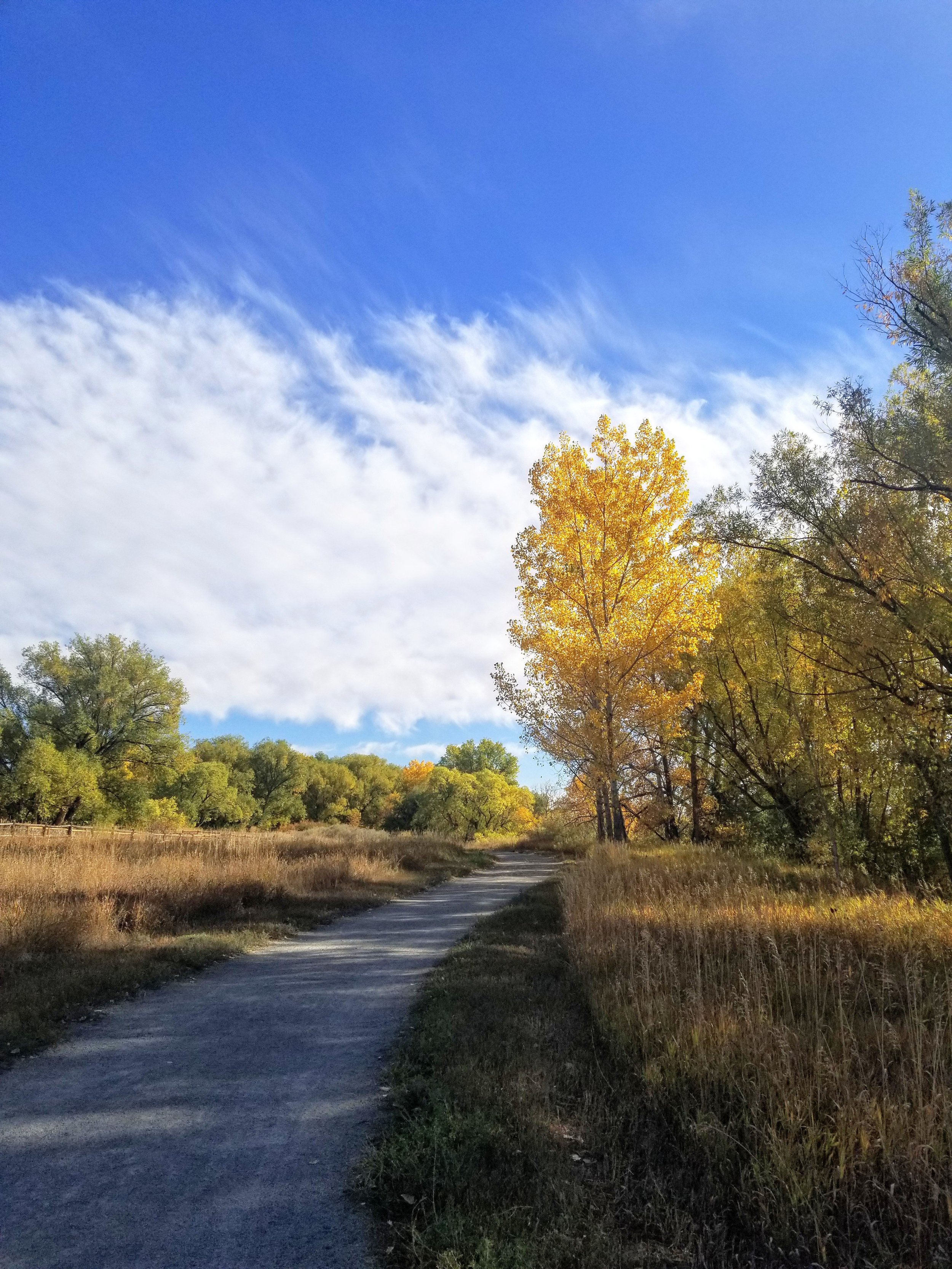Boulder Path LoBo_October 2021 1.jpg