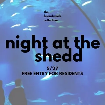 Night at the Shedd