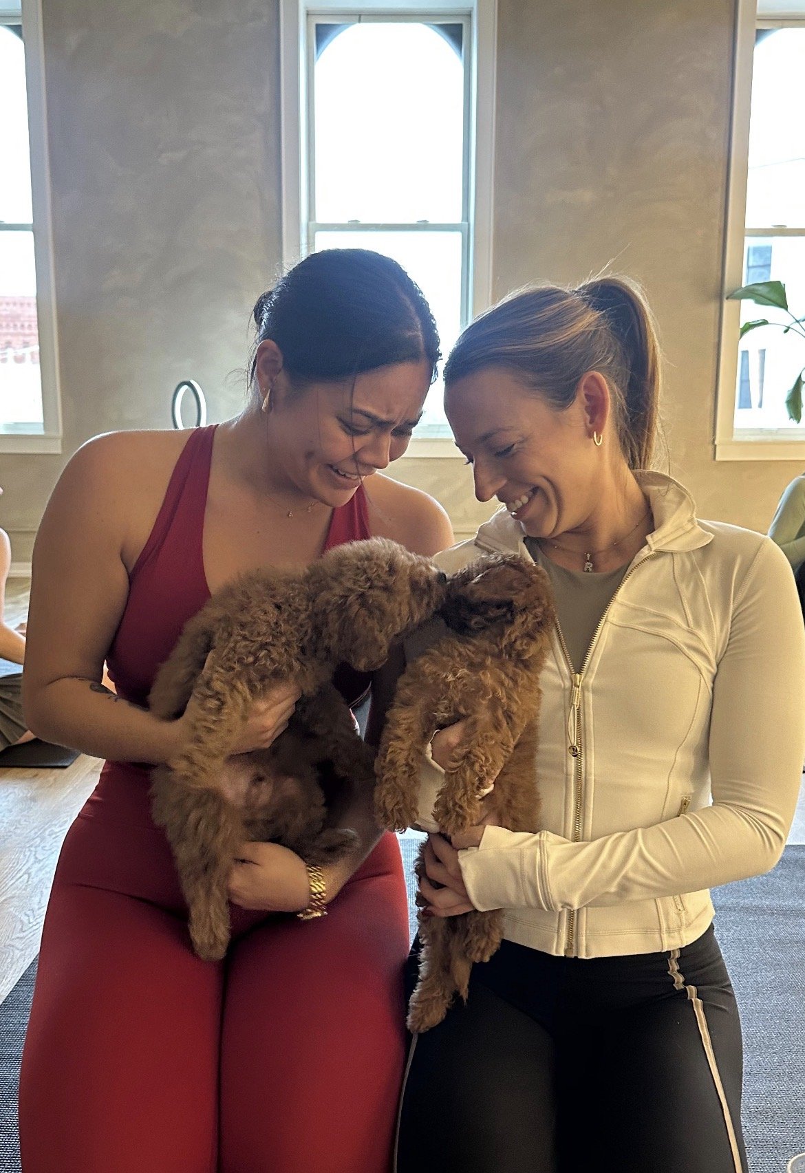 Two women smiling and holding small brown curly-haired puppies indoors with windows in the background.