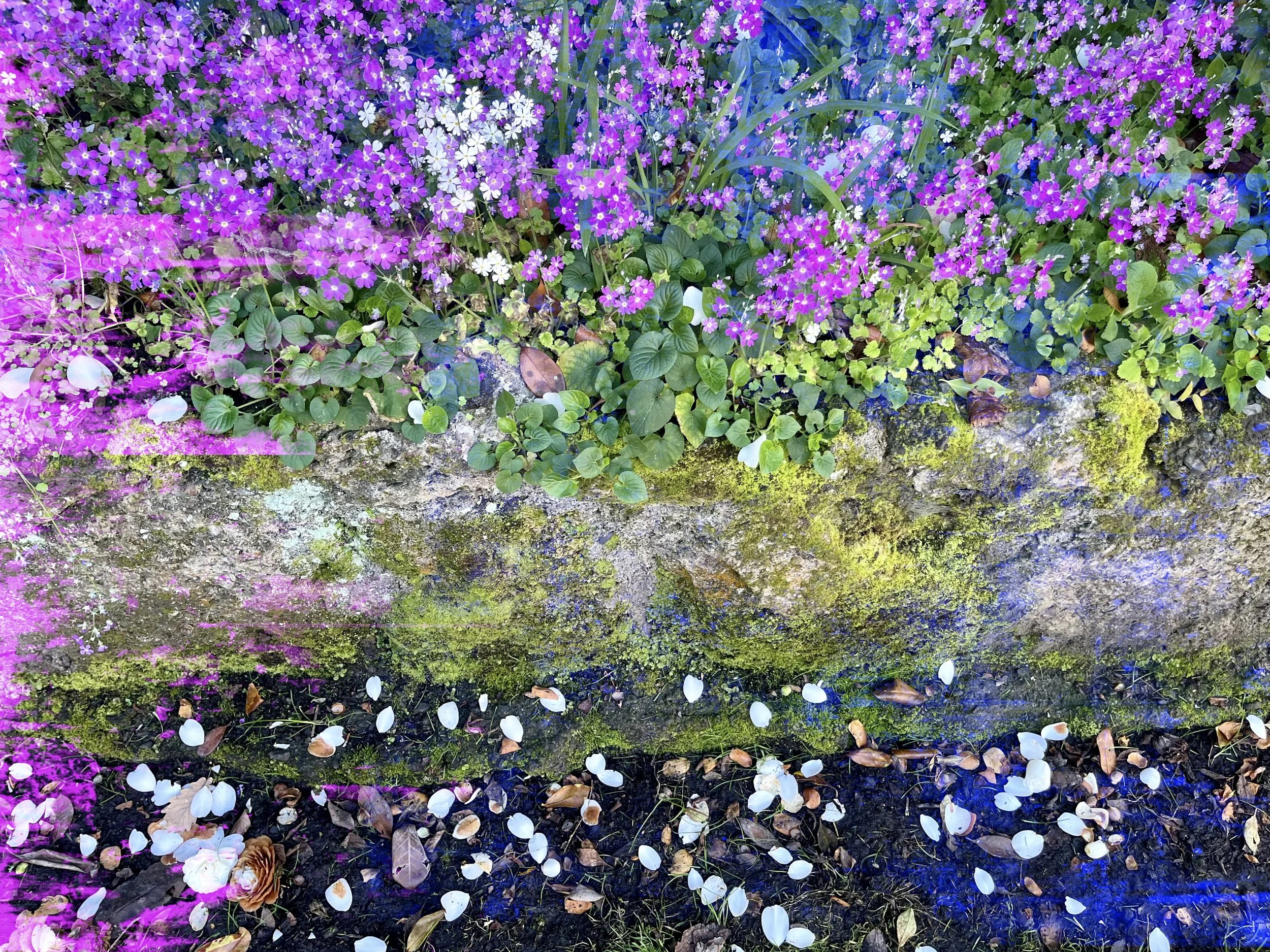 Images - The Feminine Creator