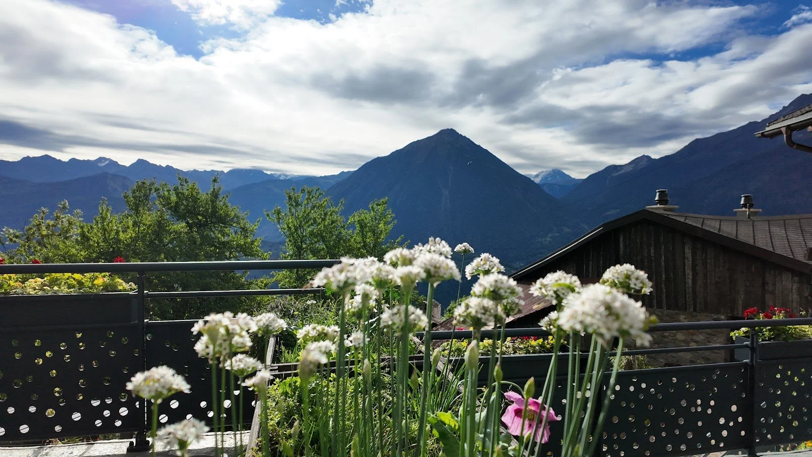 Nouvel élément de portfolio