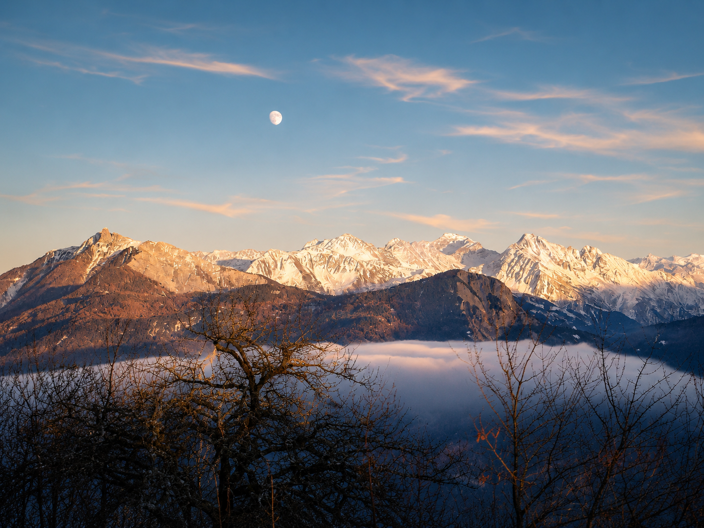 Vue sur les alpes .png