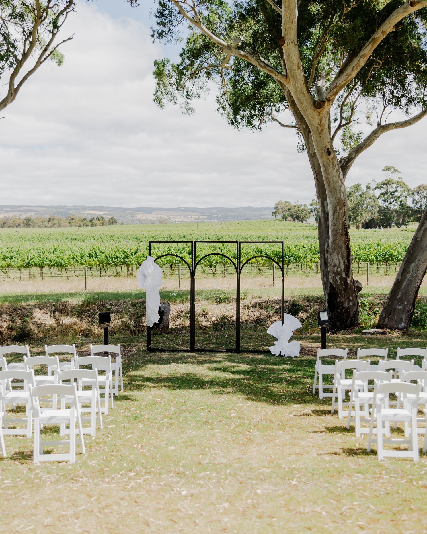 backdrop.jpg