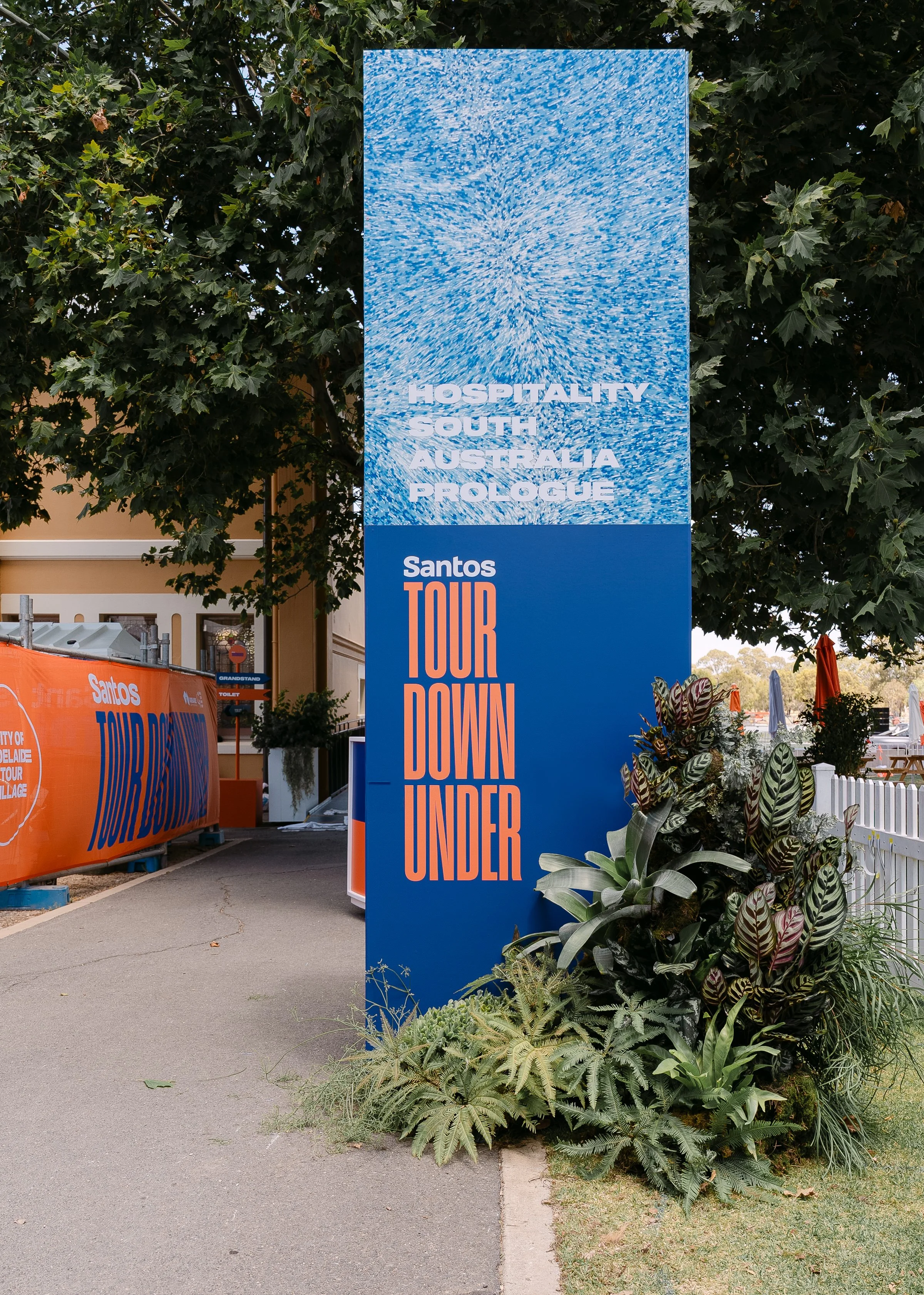 TOUR DOWN UNDER 2026