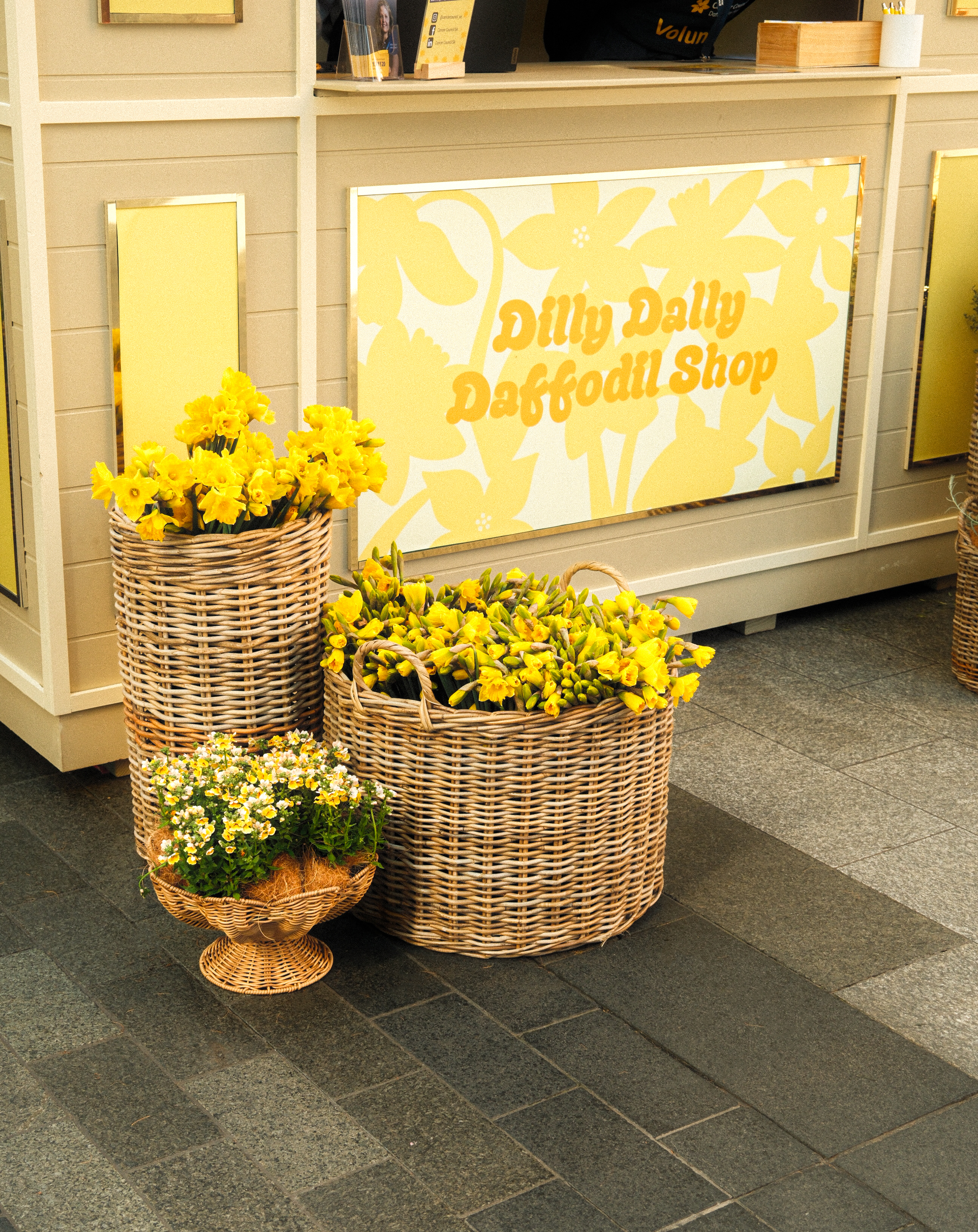 CANCER COUNCIL DILLY DALLY DAFFODIL SHOP