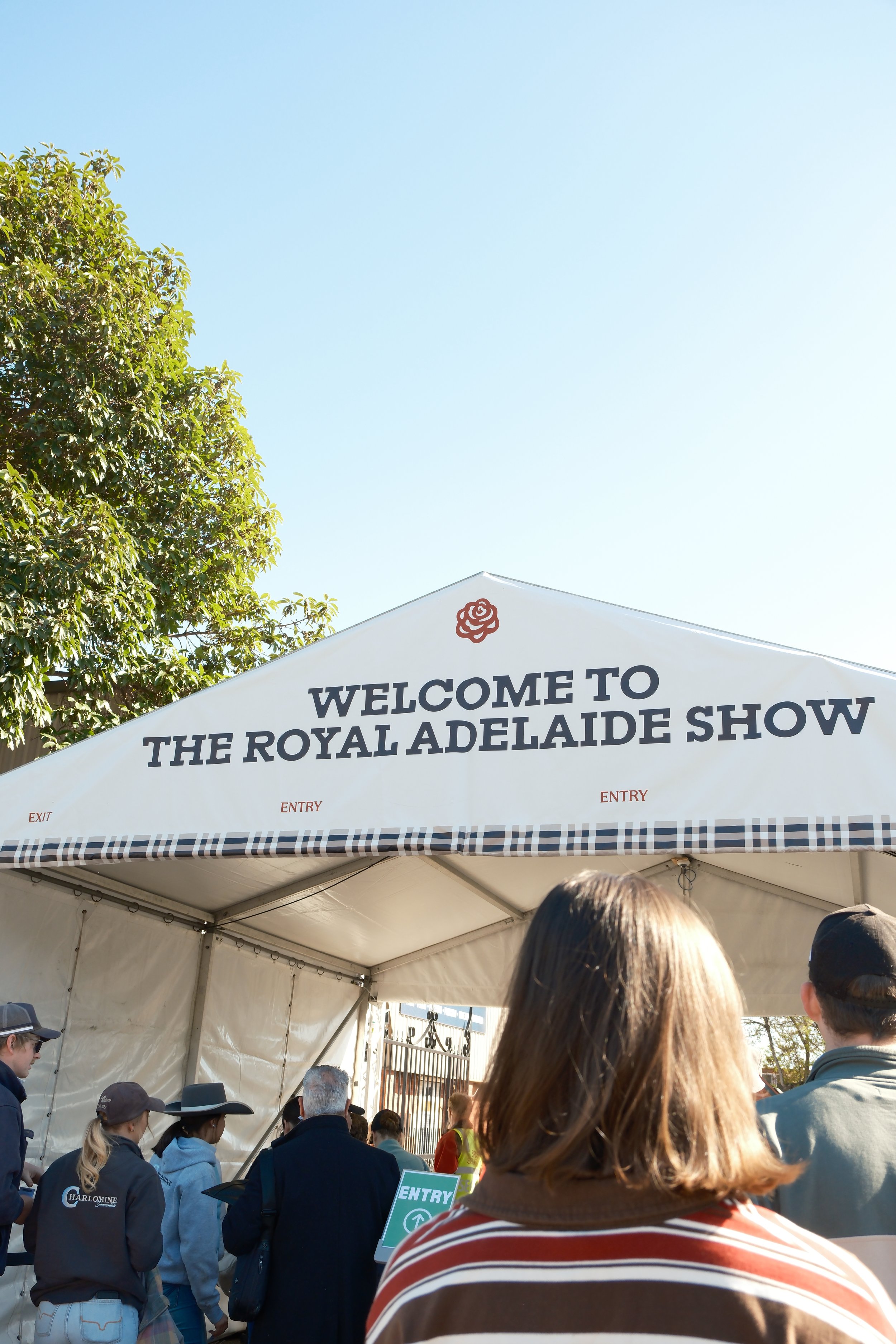 ADELAIDE HILLS DAIRIES  at THE ROYAL ADELAIDE SHOW
