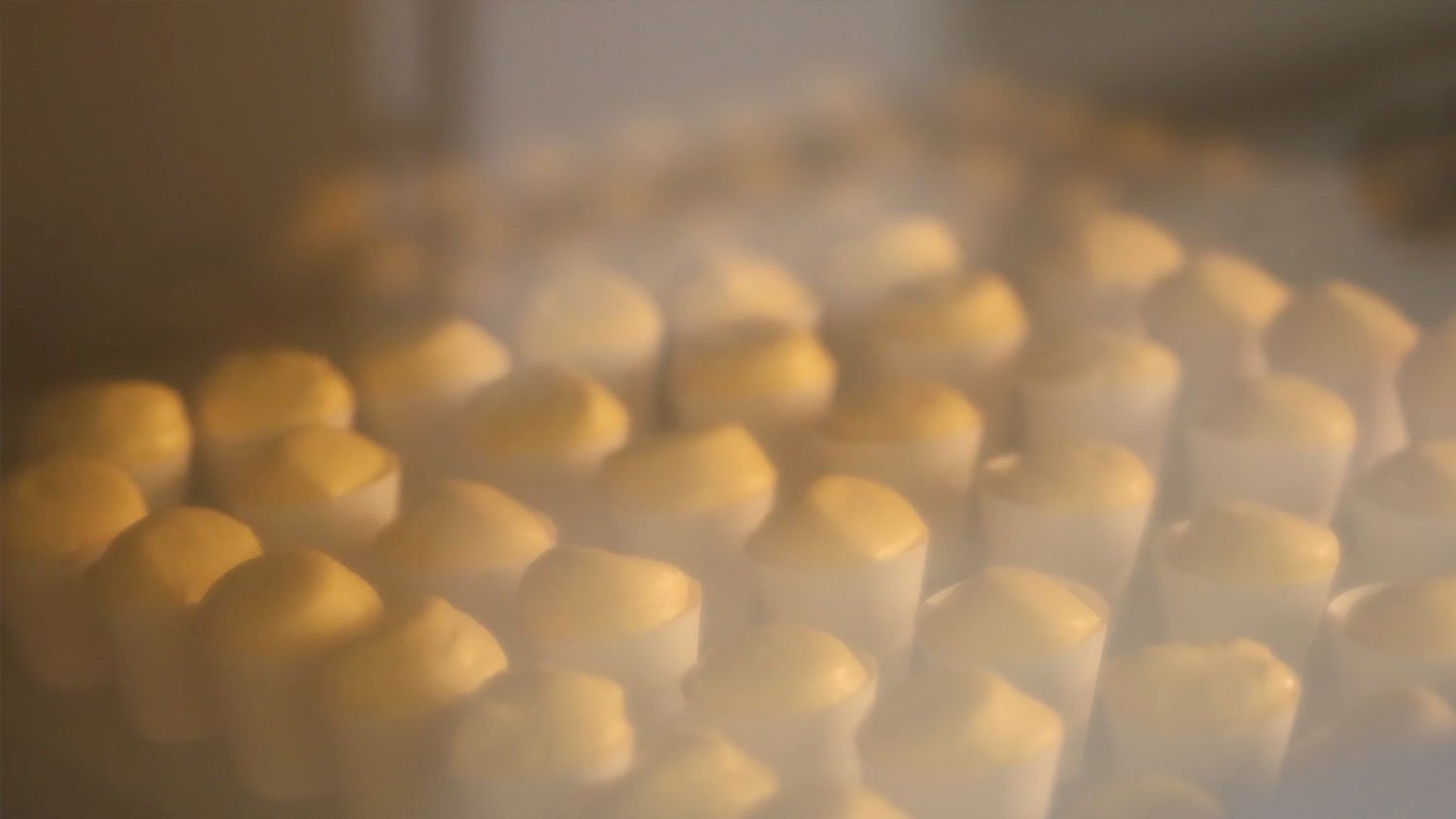 Capuchinos recién horneados listos para empaquetar