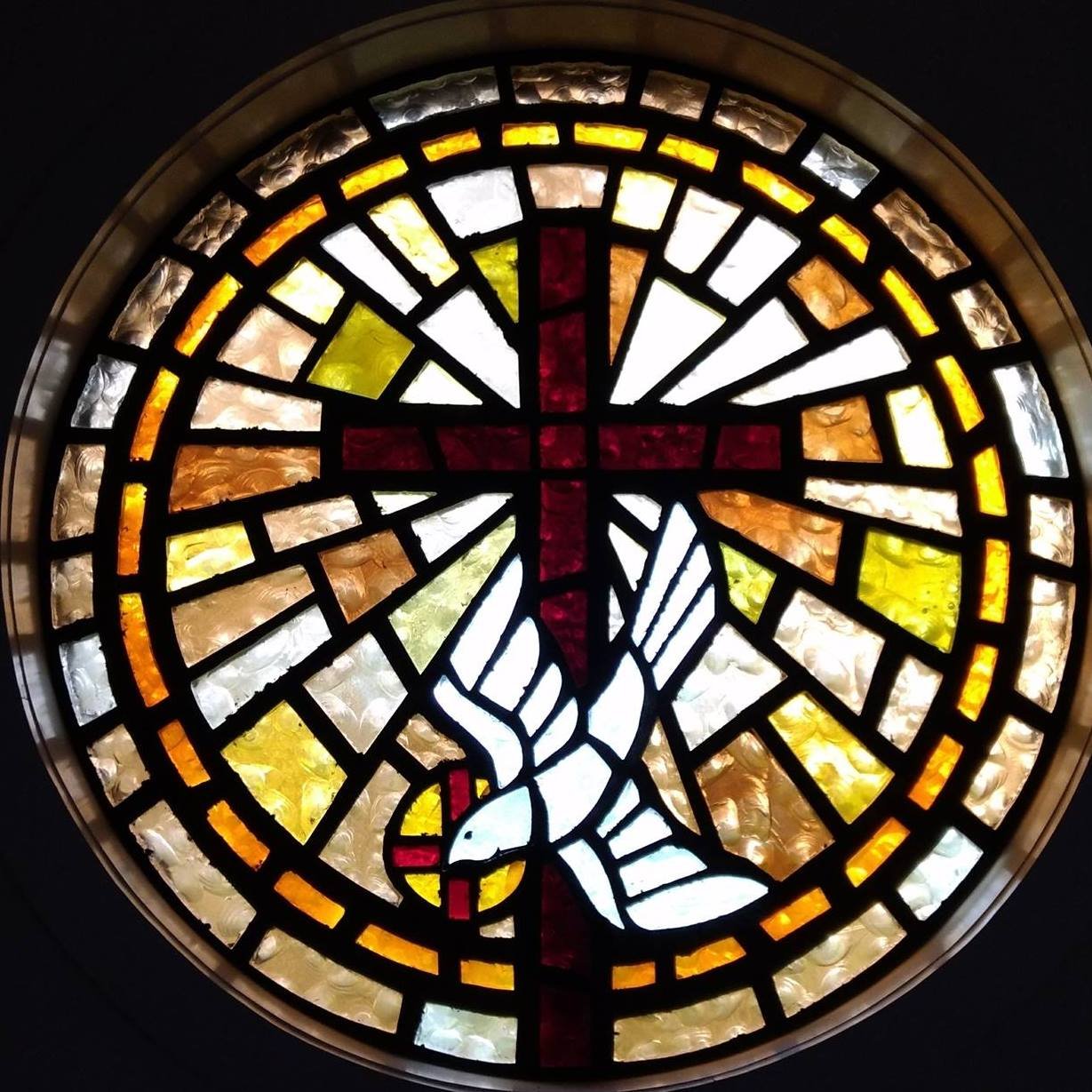 Venue Spotlight: Helotes Hills United Methodist Church 🌄🎶

We&rsquo;re excited to return to Helotes Hills UMC for The Pear-fect Finale! This beautiful and welcoming space has been a gracious host to our ensemble, and we&rsquo;re so grateful for the